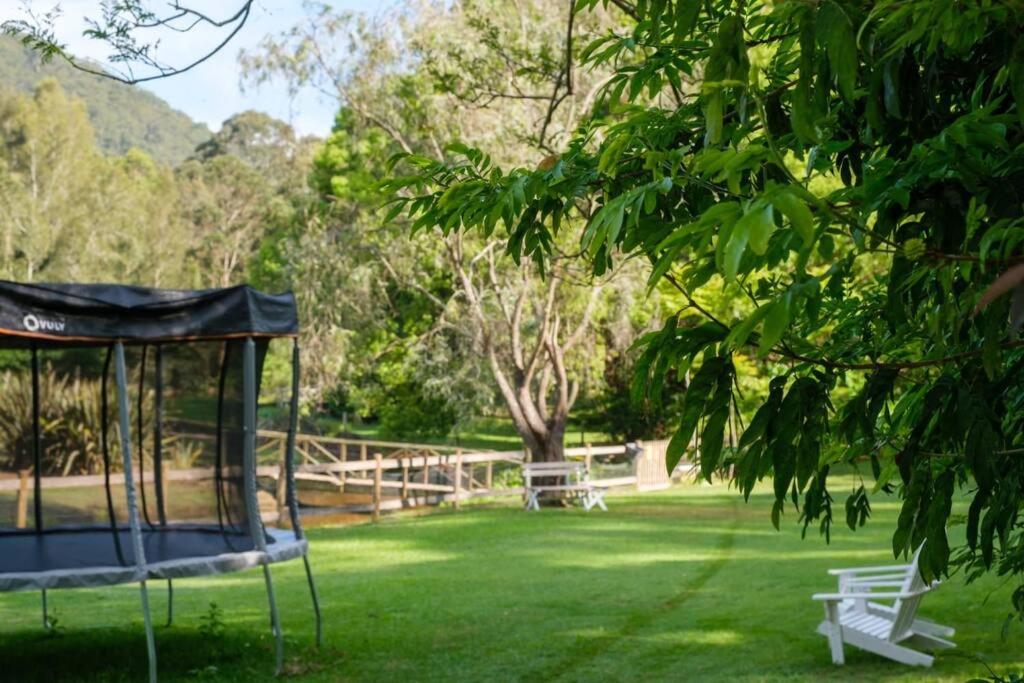Family Acreage -Miniature Horses -Heated Pool w Slide