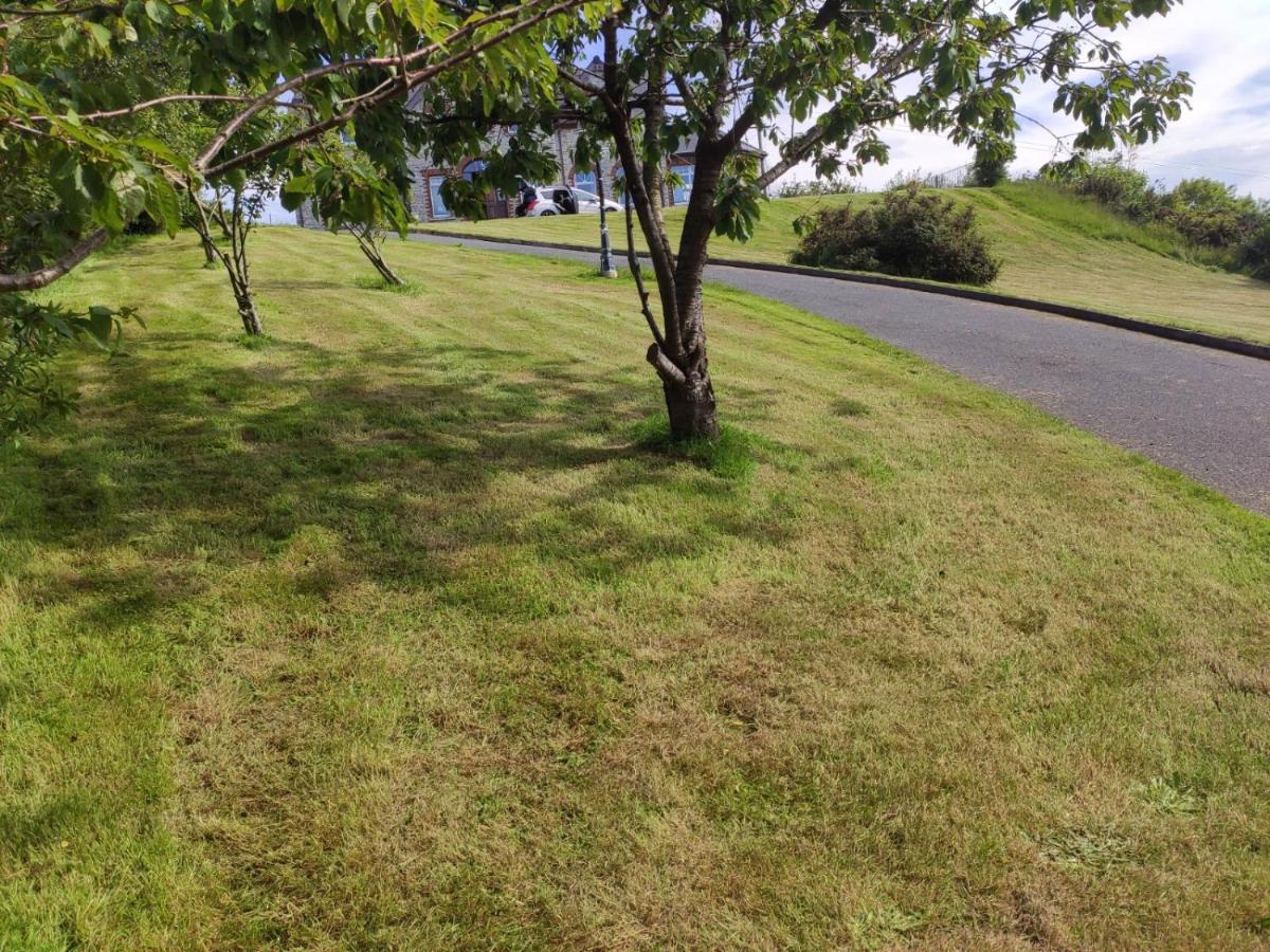 Letterkenny Vacations - Ballylawn Lodge - Property Image 4