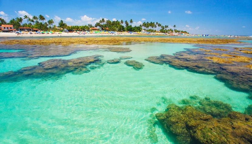 Mykonos - Porto de Galinhas