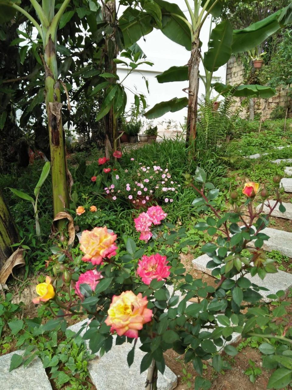 Photo 23
