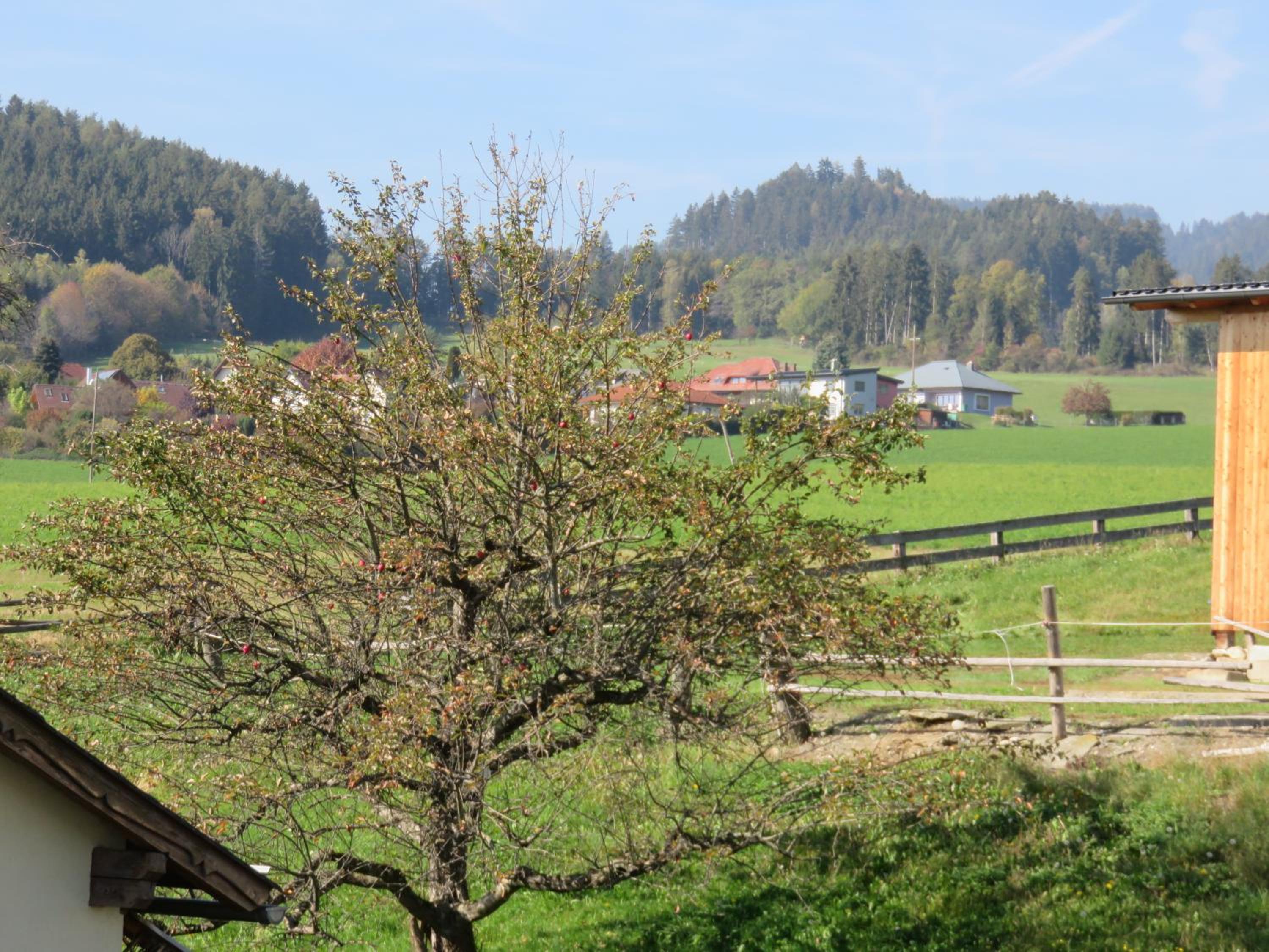 Schöne Ferienwohnung in Kärnten Hunde gerne auf Anfrage