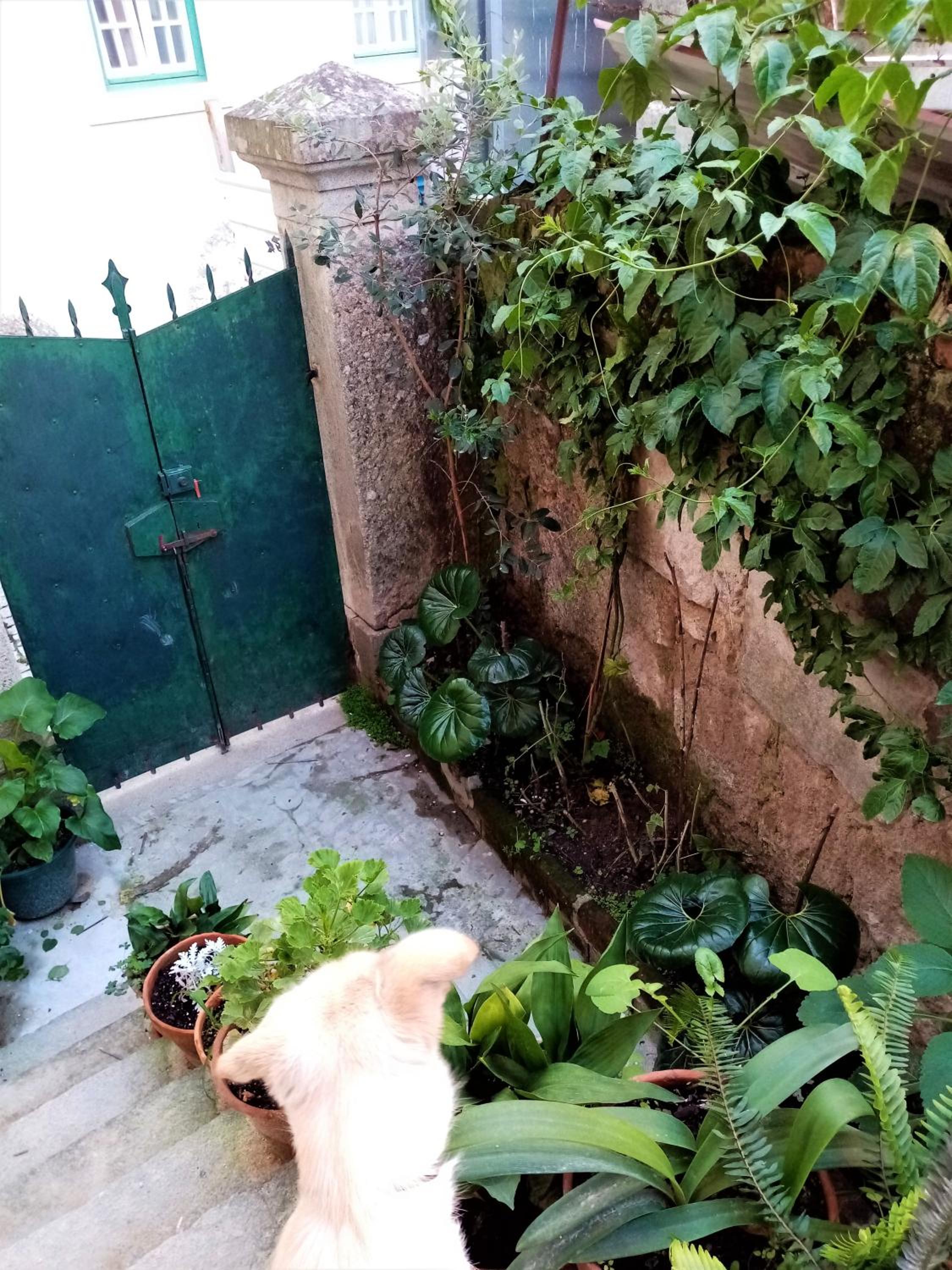 Photo 42