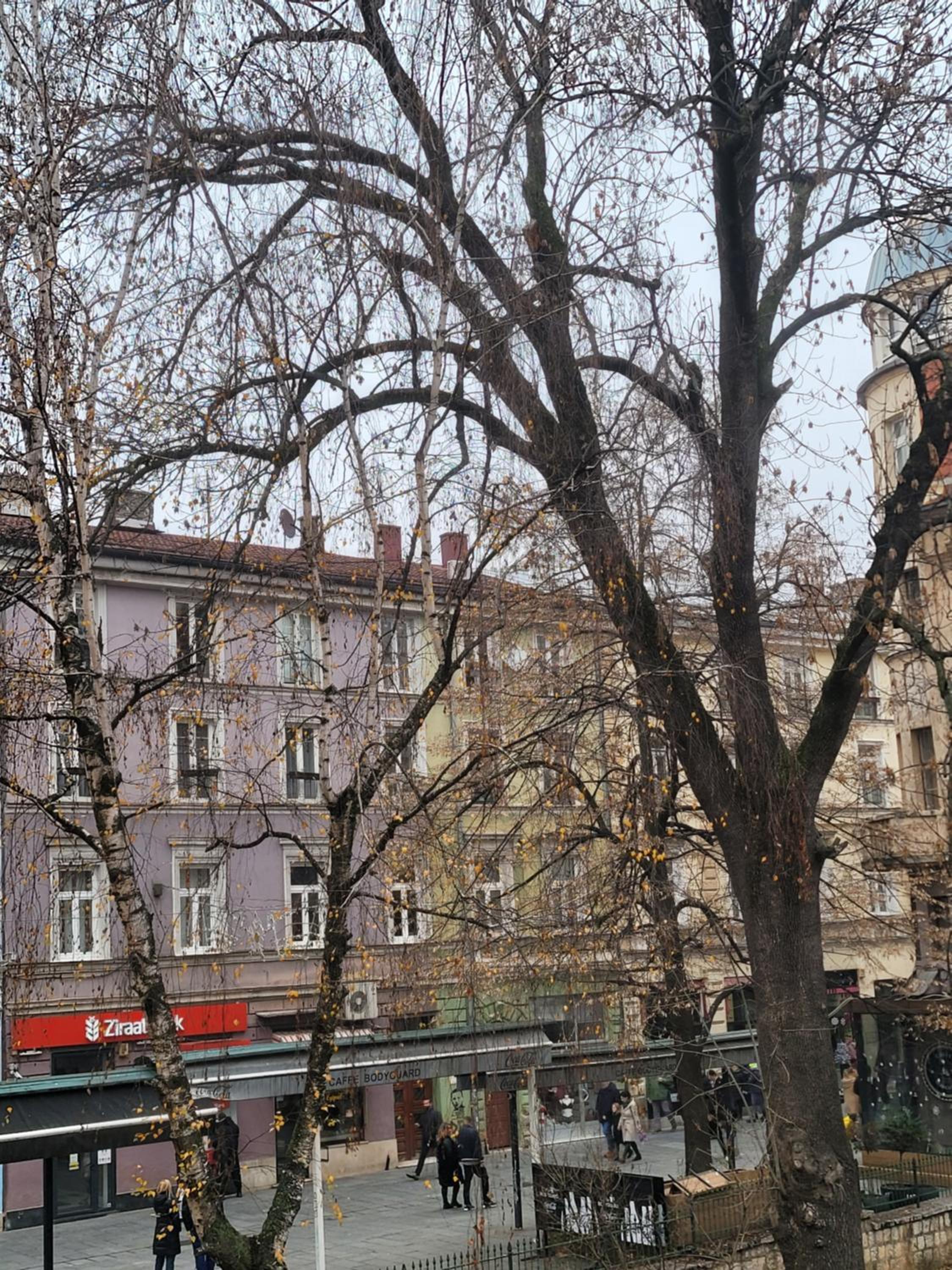 REMSA