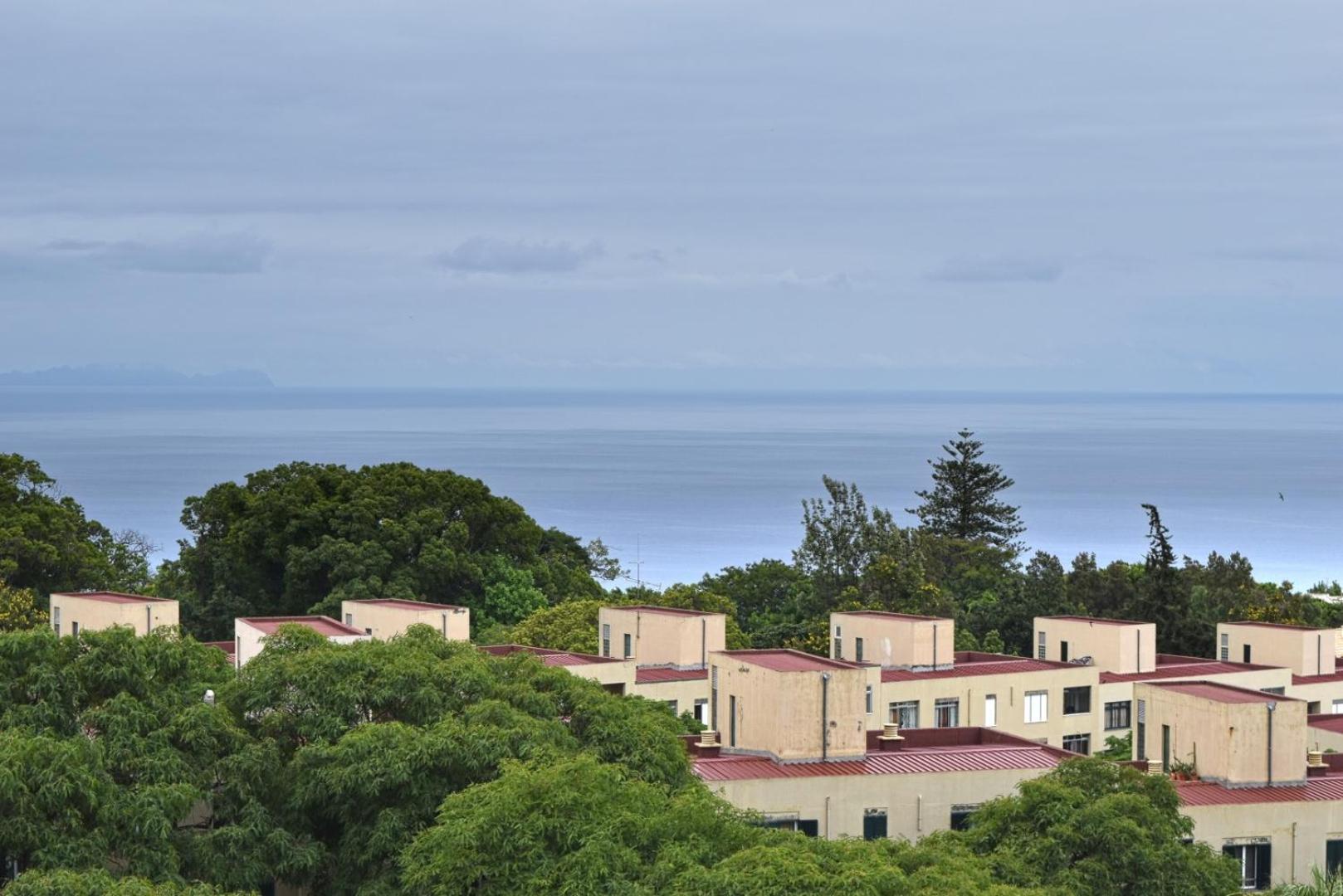 São Martinho, a Home in Madeira