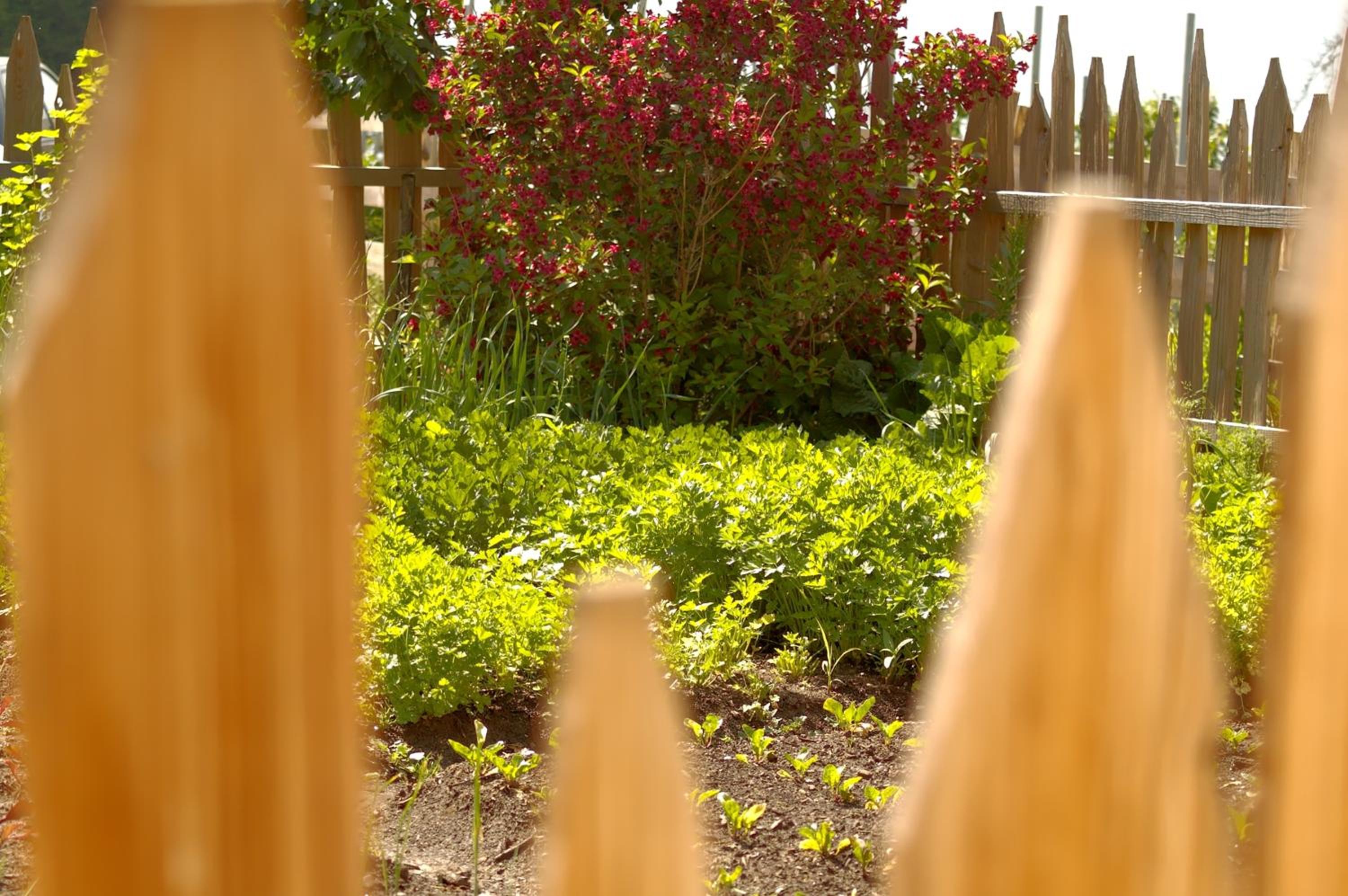 Photo 45