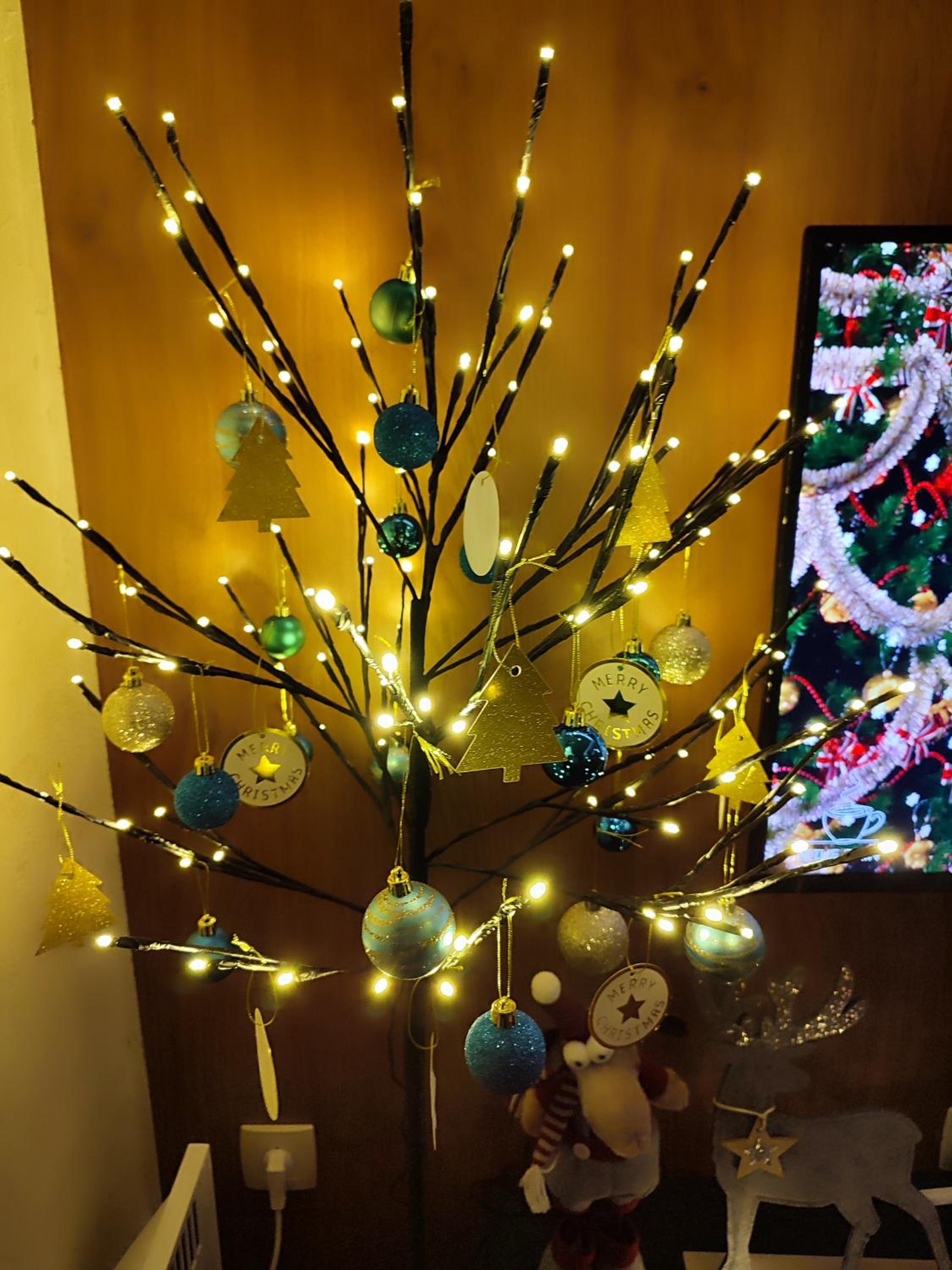 Photo 43