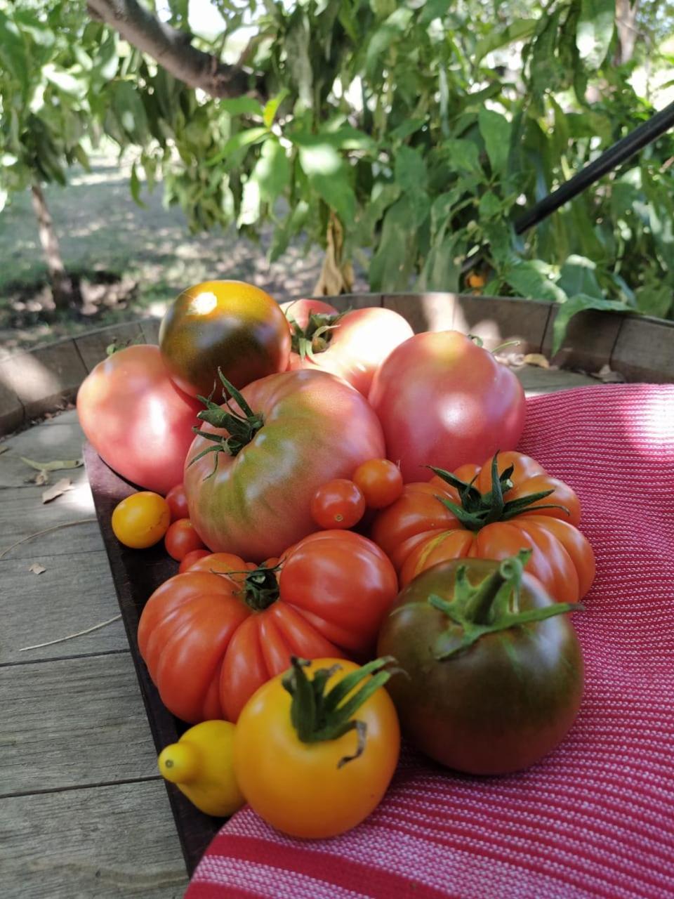 Finca La Clementina