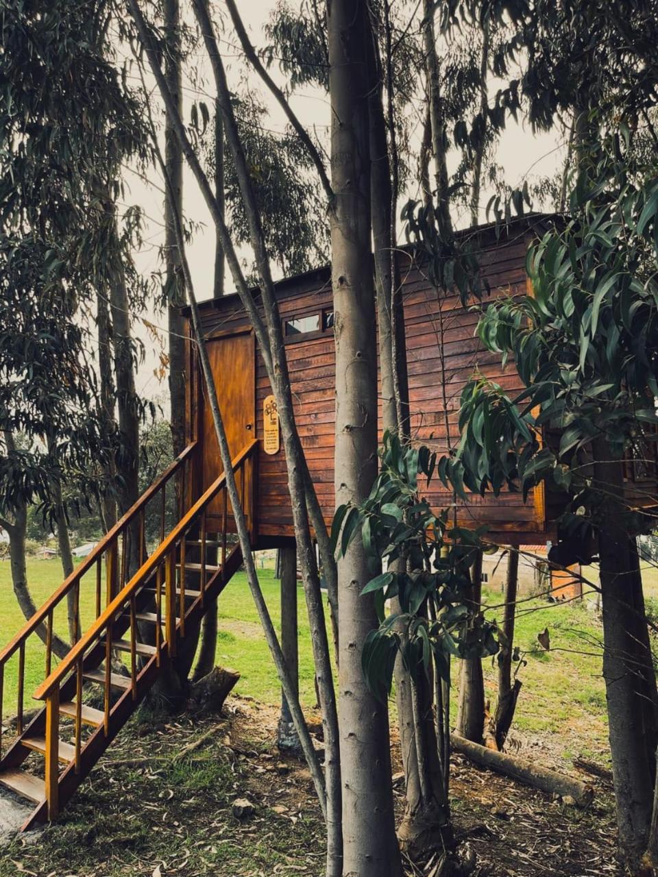 Casa en el Árbol Guatavita