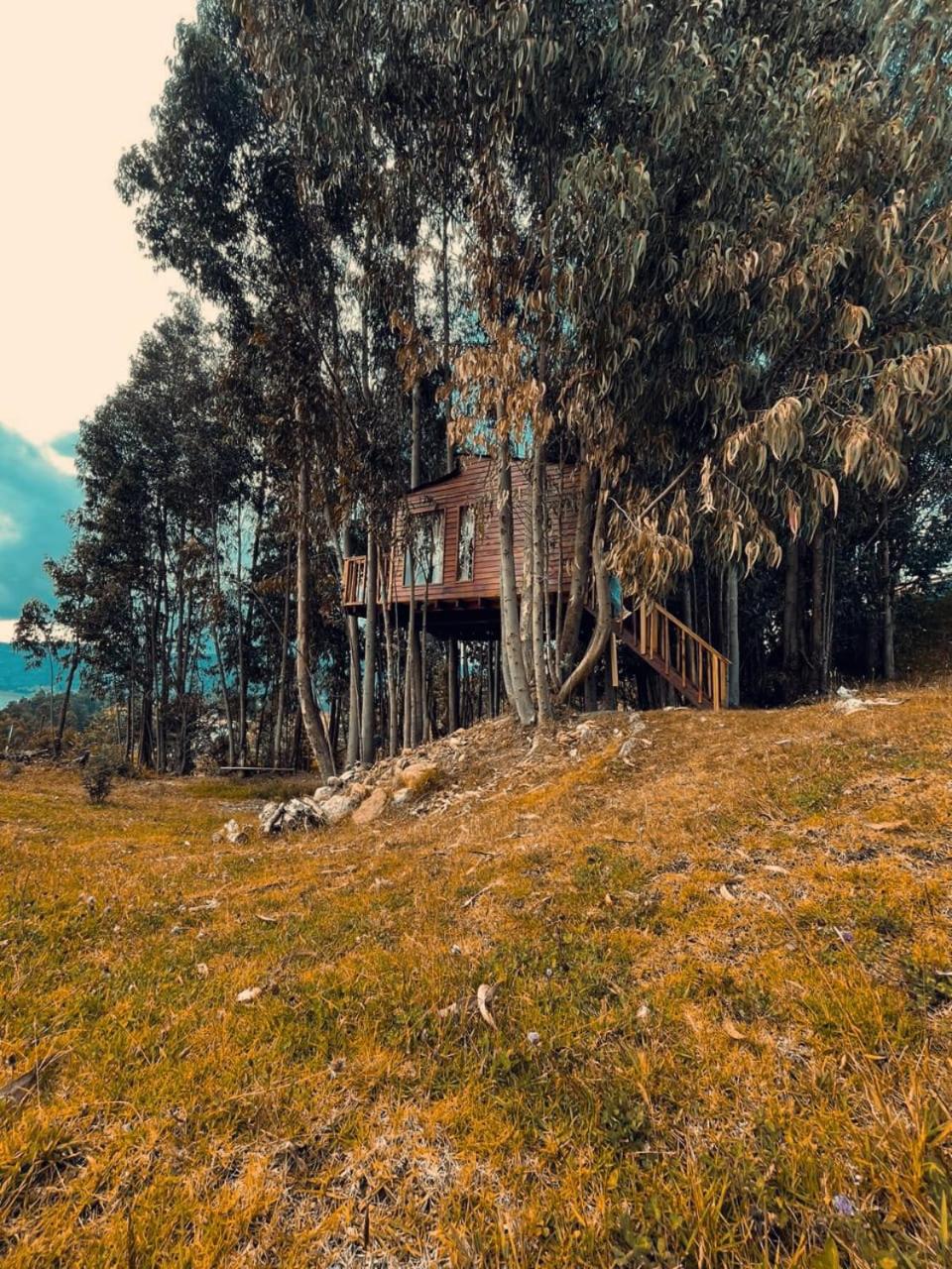 Casa en el Árbol Guatavita