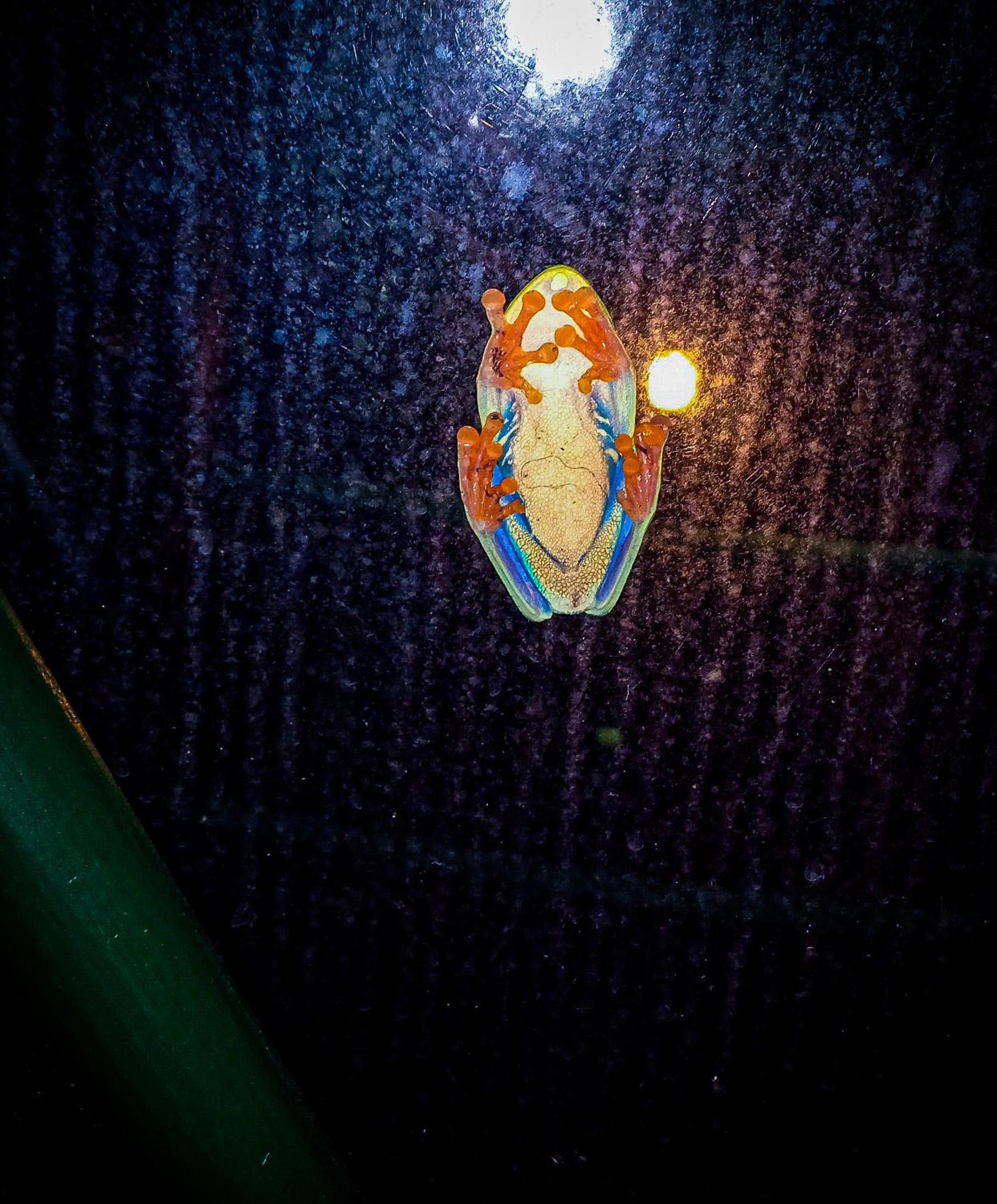Photo 22