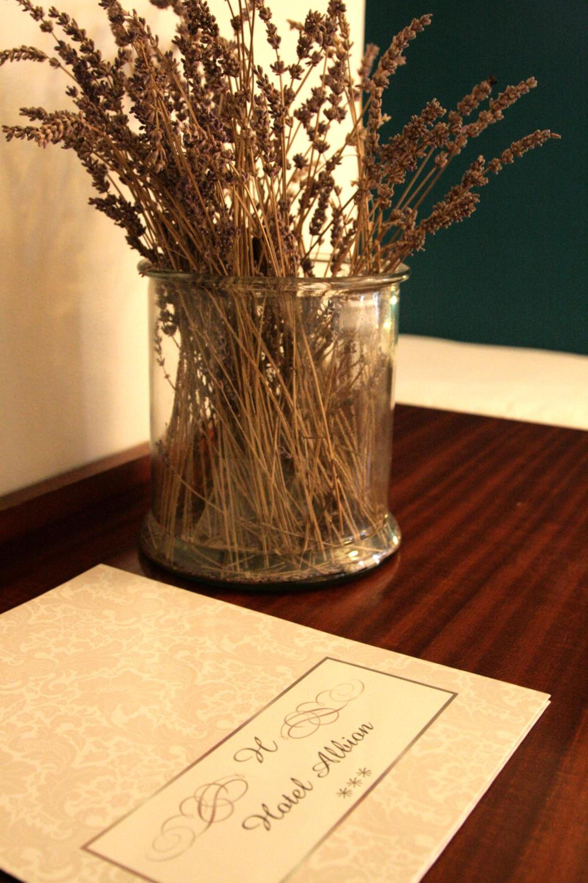 Ajaccio Vacations - Hotel Albion - Property Image 58