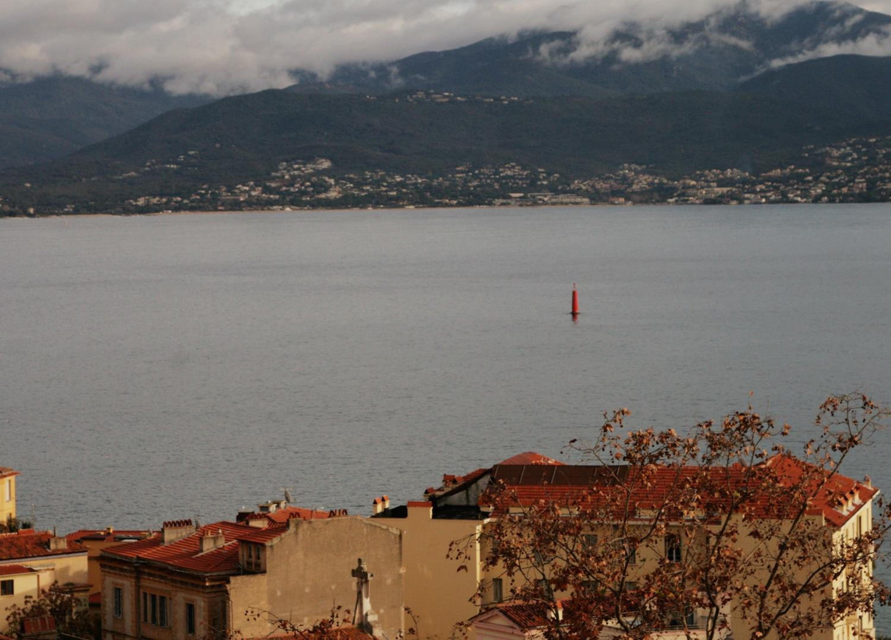 Ajaccio Vacations - Hotel Albion - Property Image 49