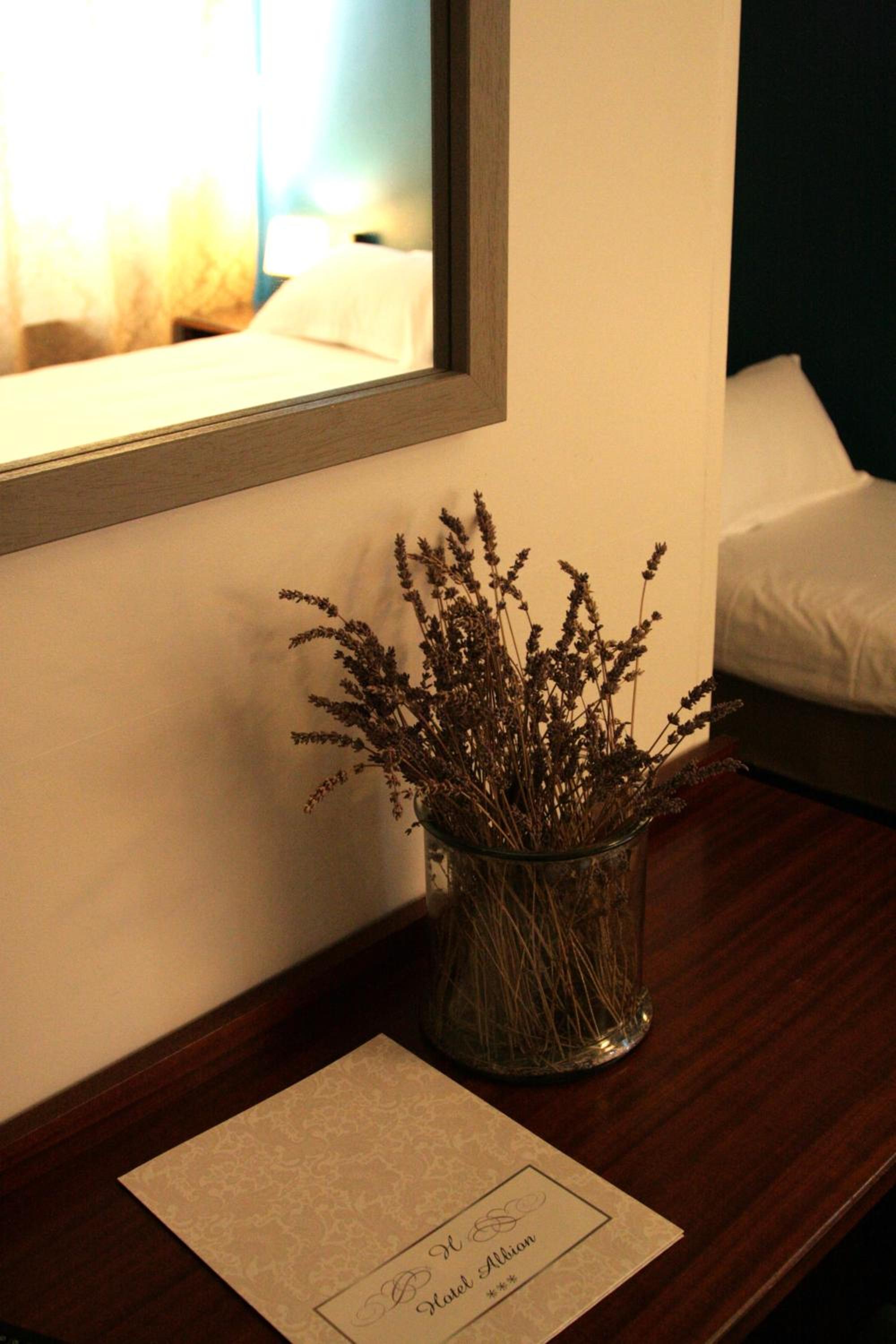 Ajaccio Vacations - Hotel Albion - Property Image 57