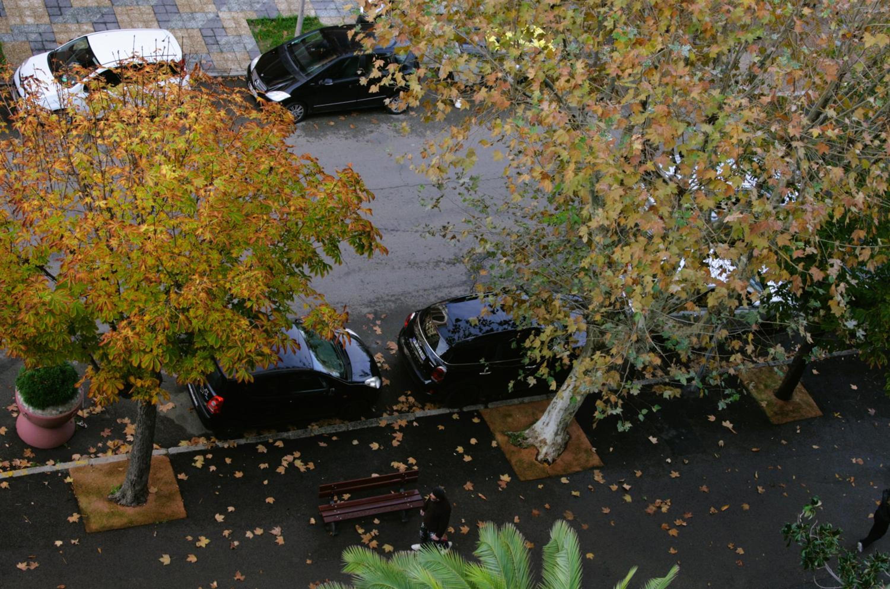 Ajaccio Vacations - Hotel Albion - Property Image 60