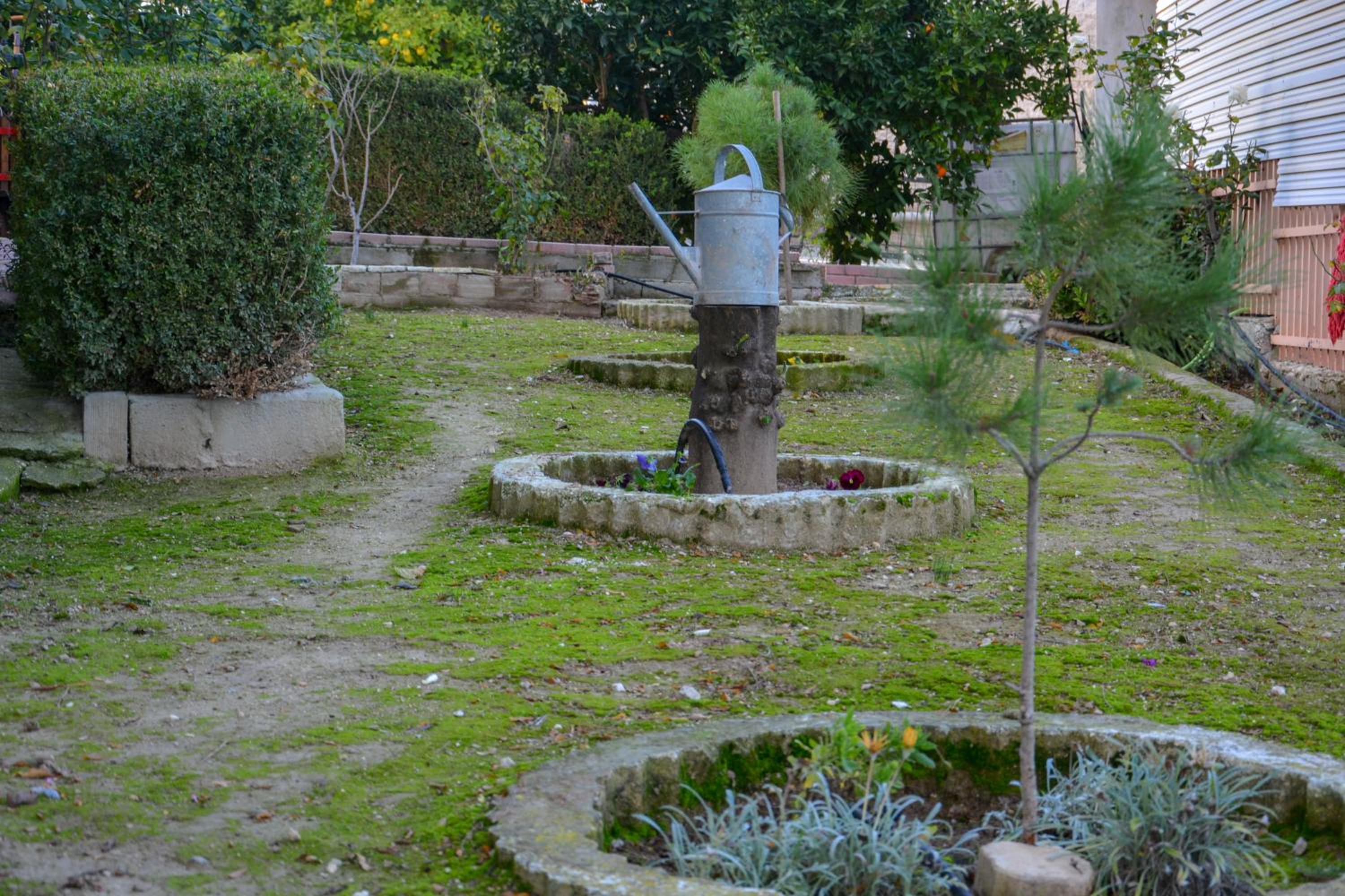 Photo 33