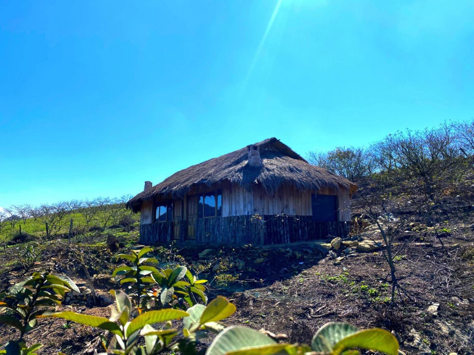 Hoa Phong homestay Moc Chau view 5
