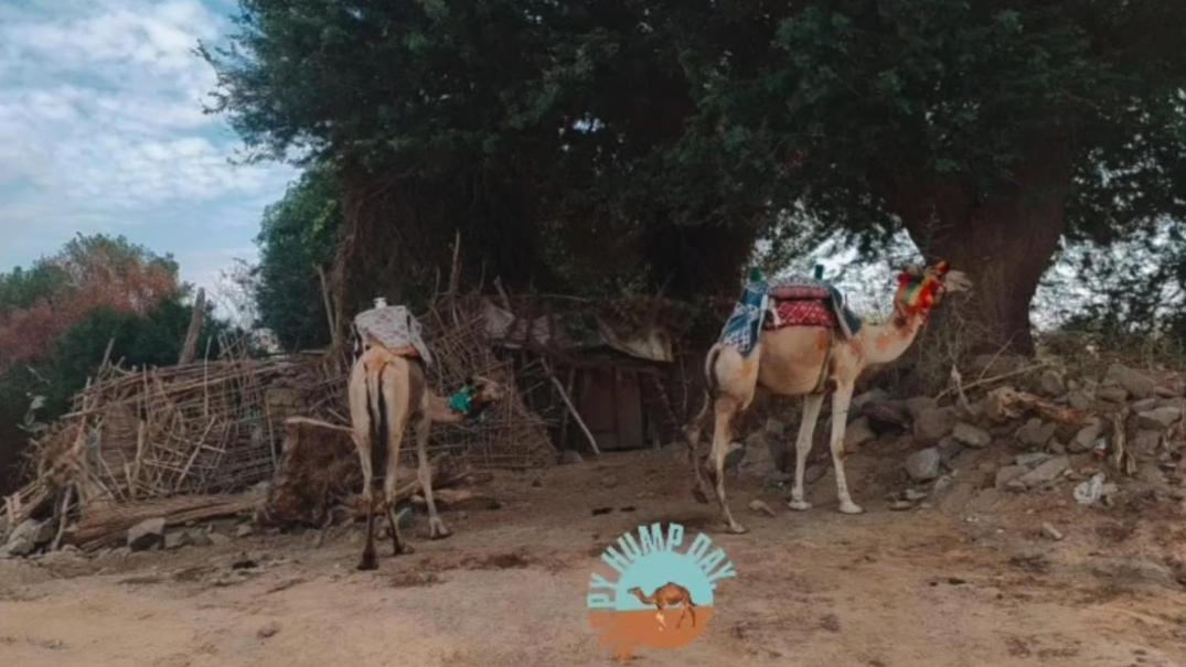 Torya Nubian House