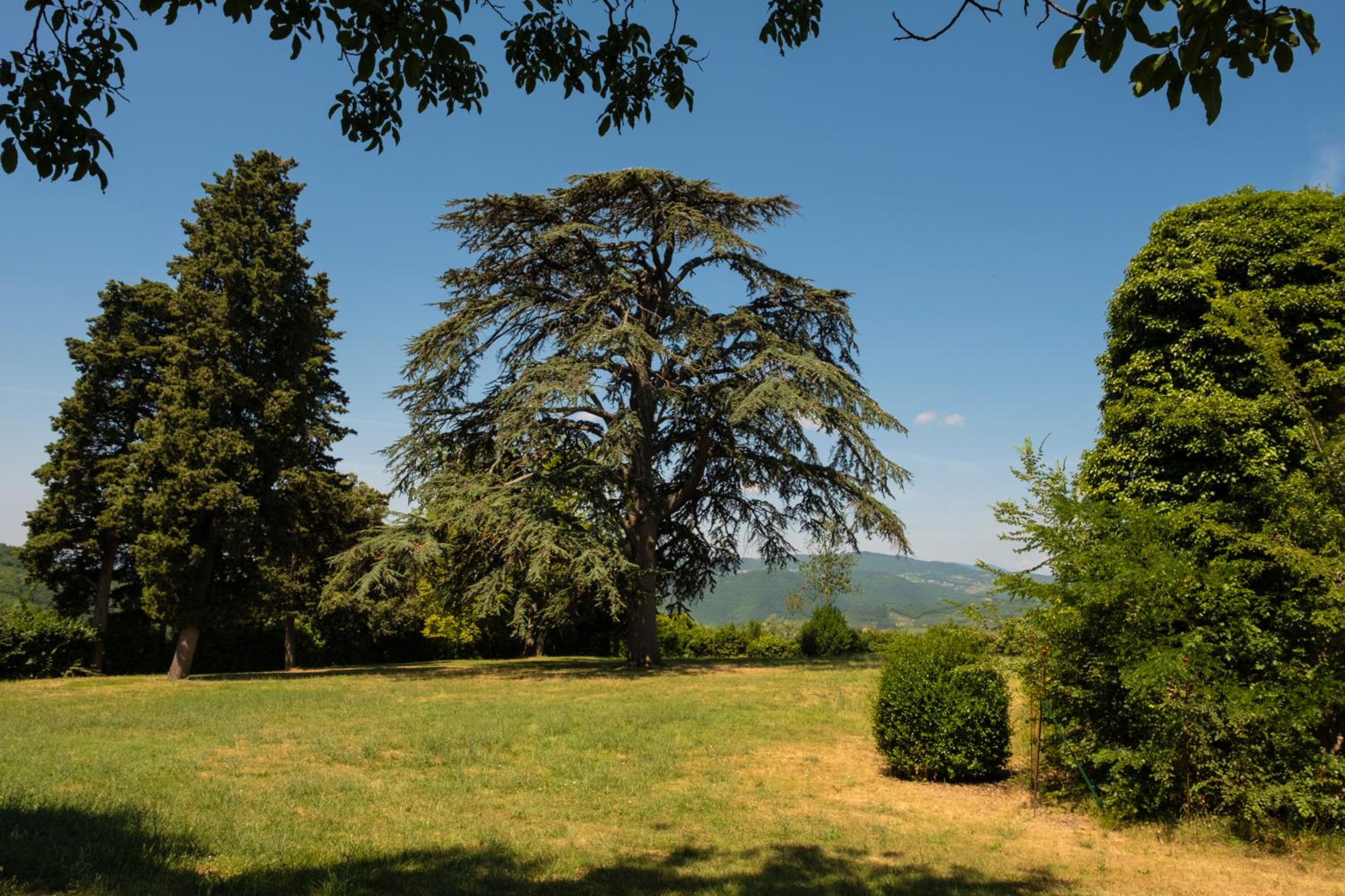 Florence Winery AgriResort - Fattoria Lavacchio