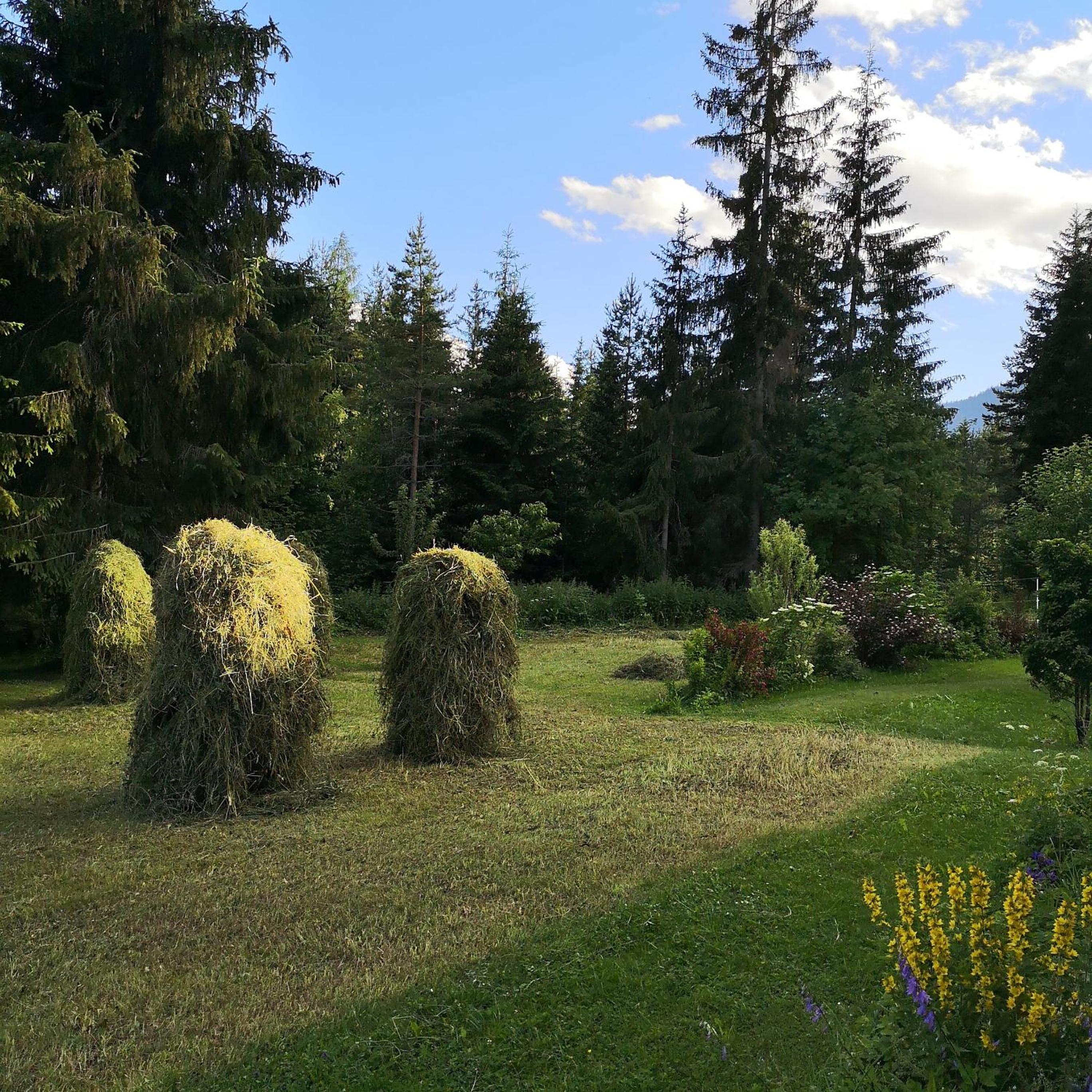 Das Habitat