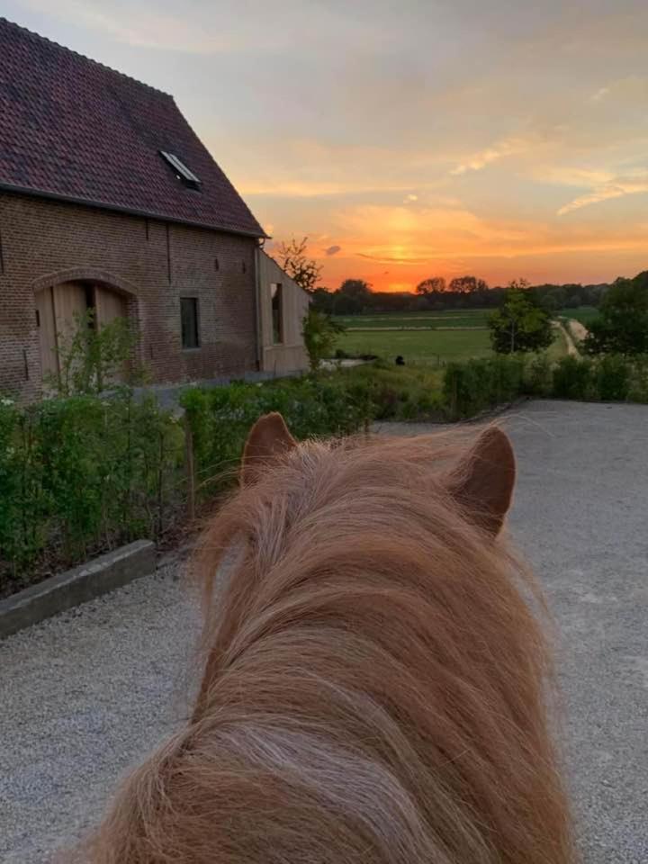B&B Martinushoeve