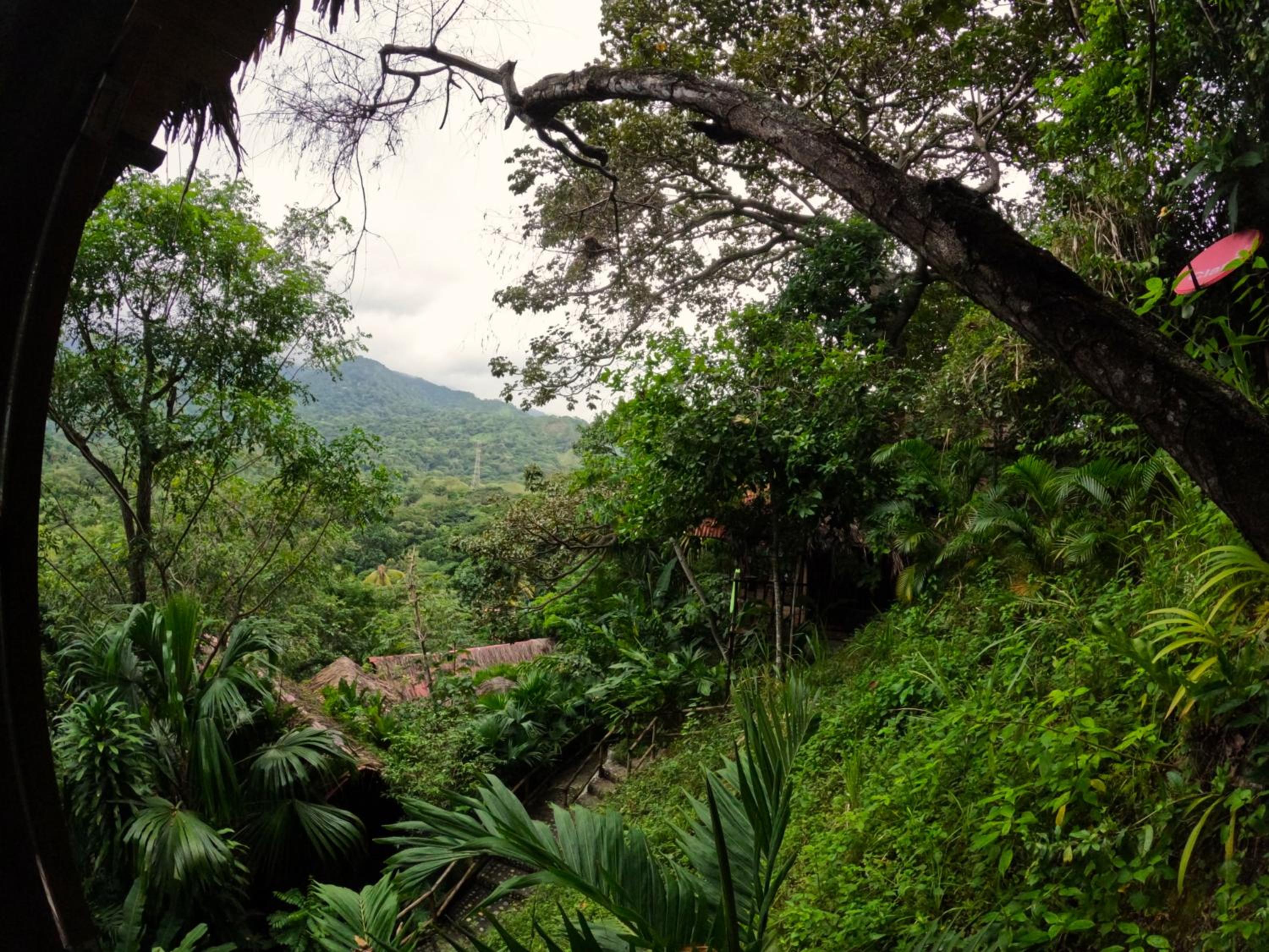 EcoHostal Rio Piedra