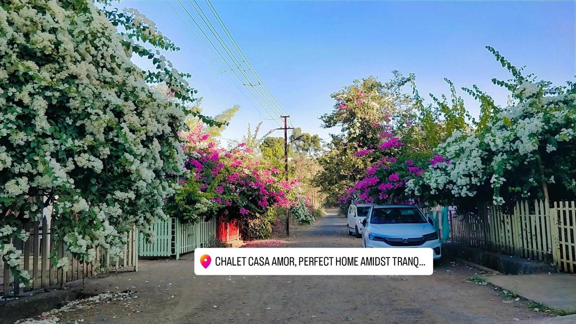 Chalet Casa Amor, Perfect home amidst tranquility view 2