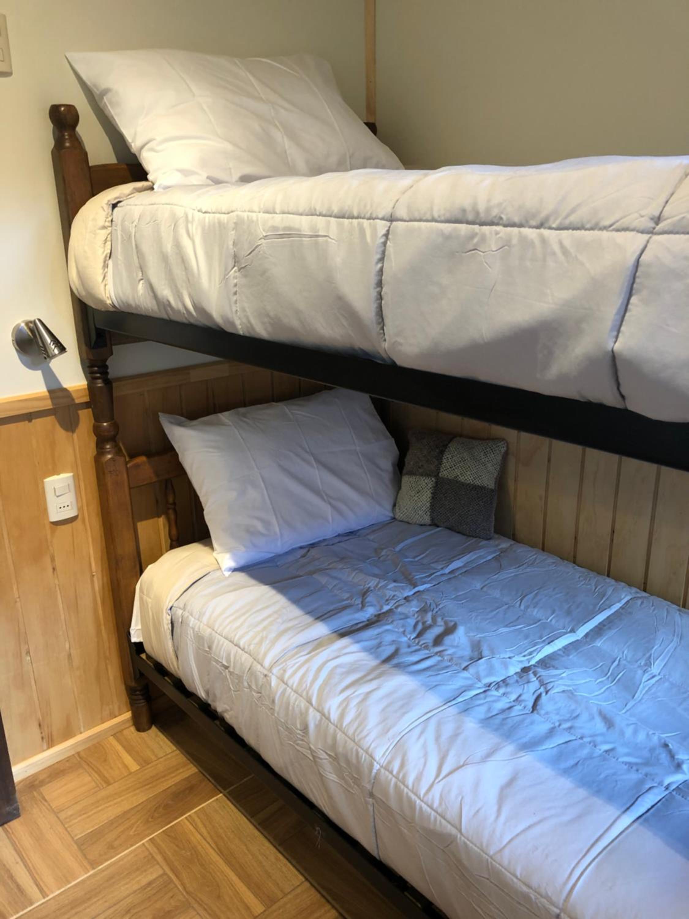 Magellanicus Rustic Suites