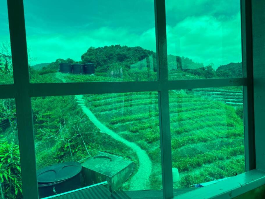 New Farmer Hut 1 view 3