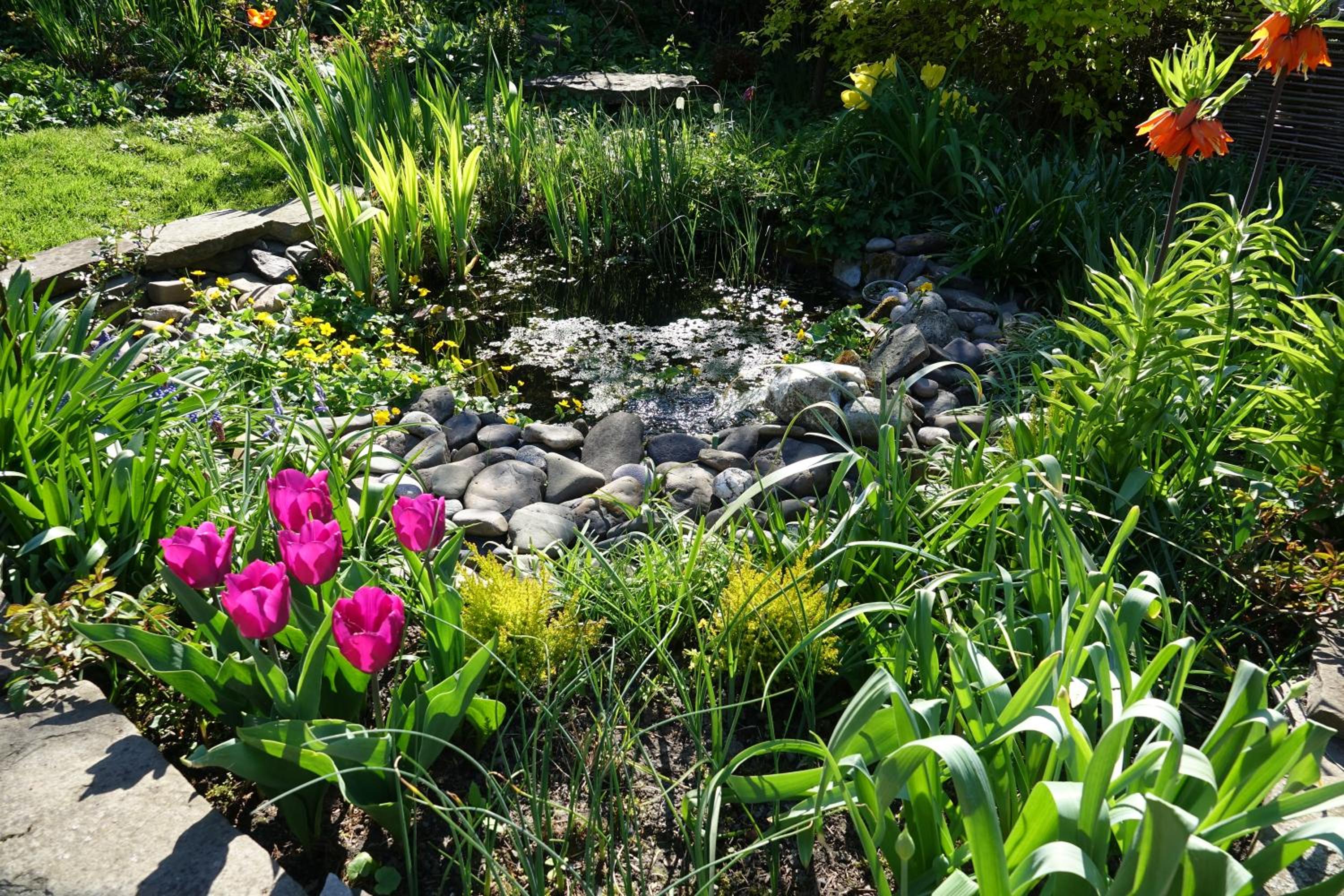 Le Jardin des Miroirs