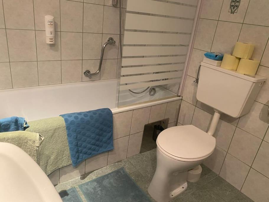 Schöne Ferienwohnung mit Wolfgangseeblick