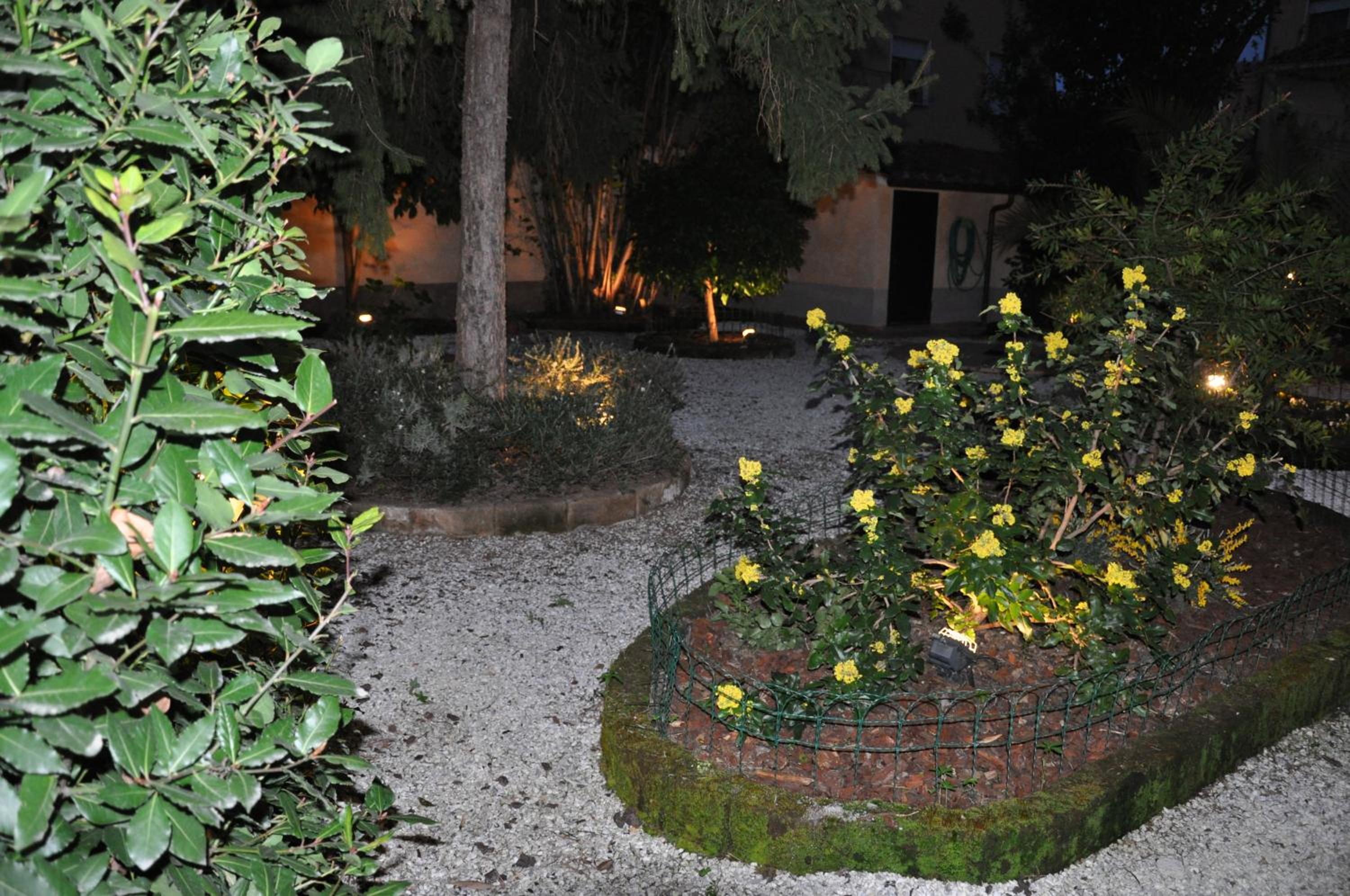 Photo 26