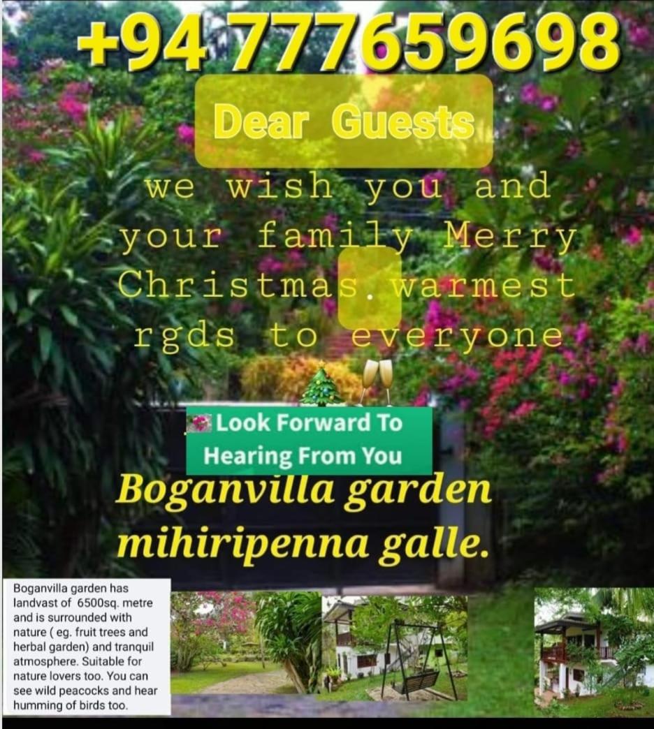 Boganvilla garden view 5