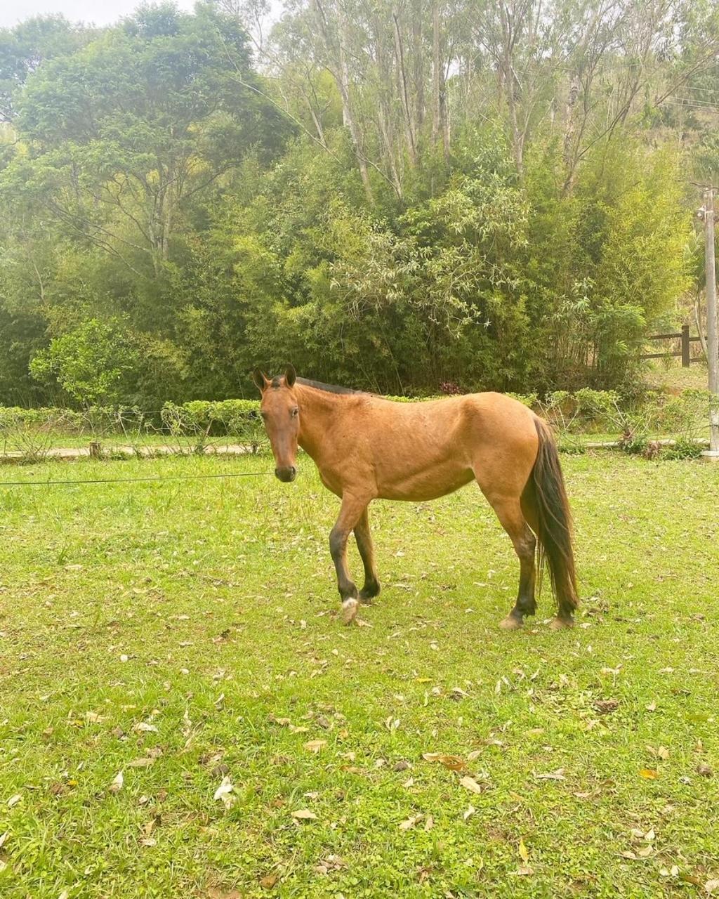 Hotel Fazenda Bonanza