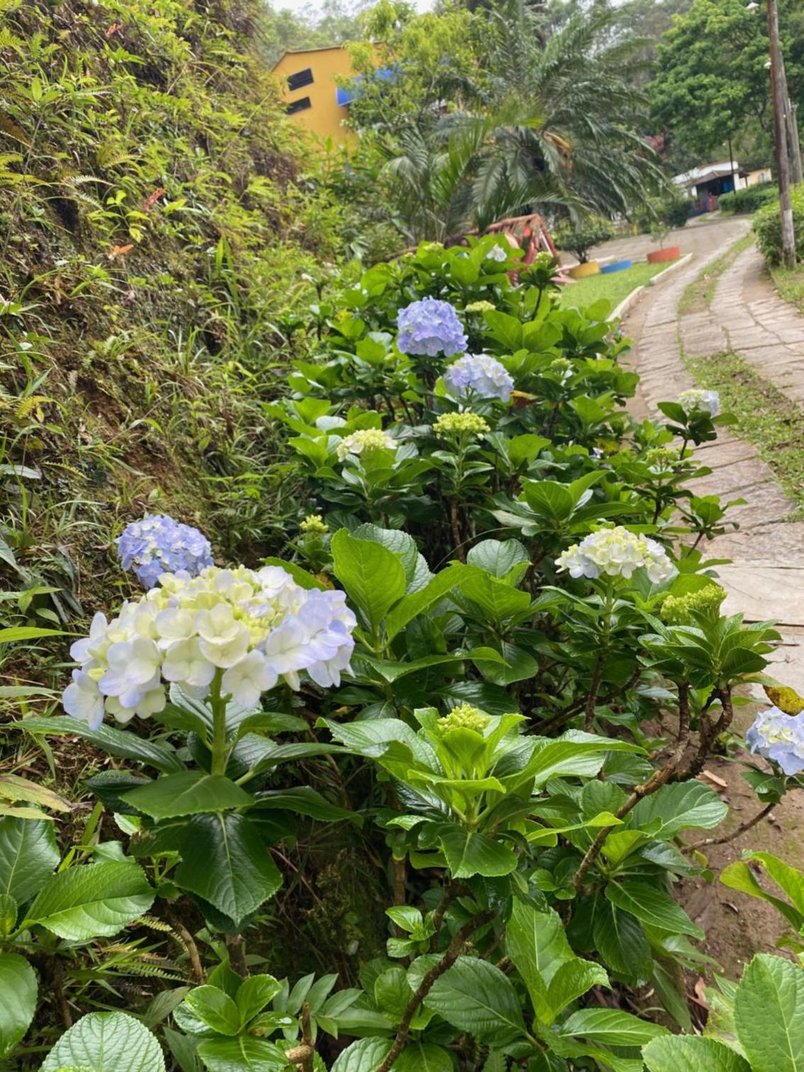 Hotel Fazenda Bonanza