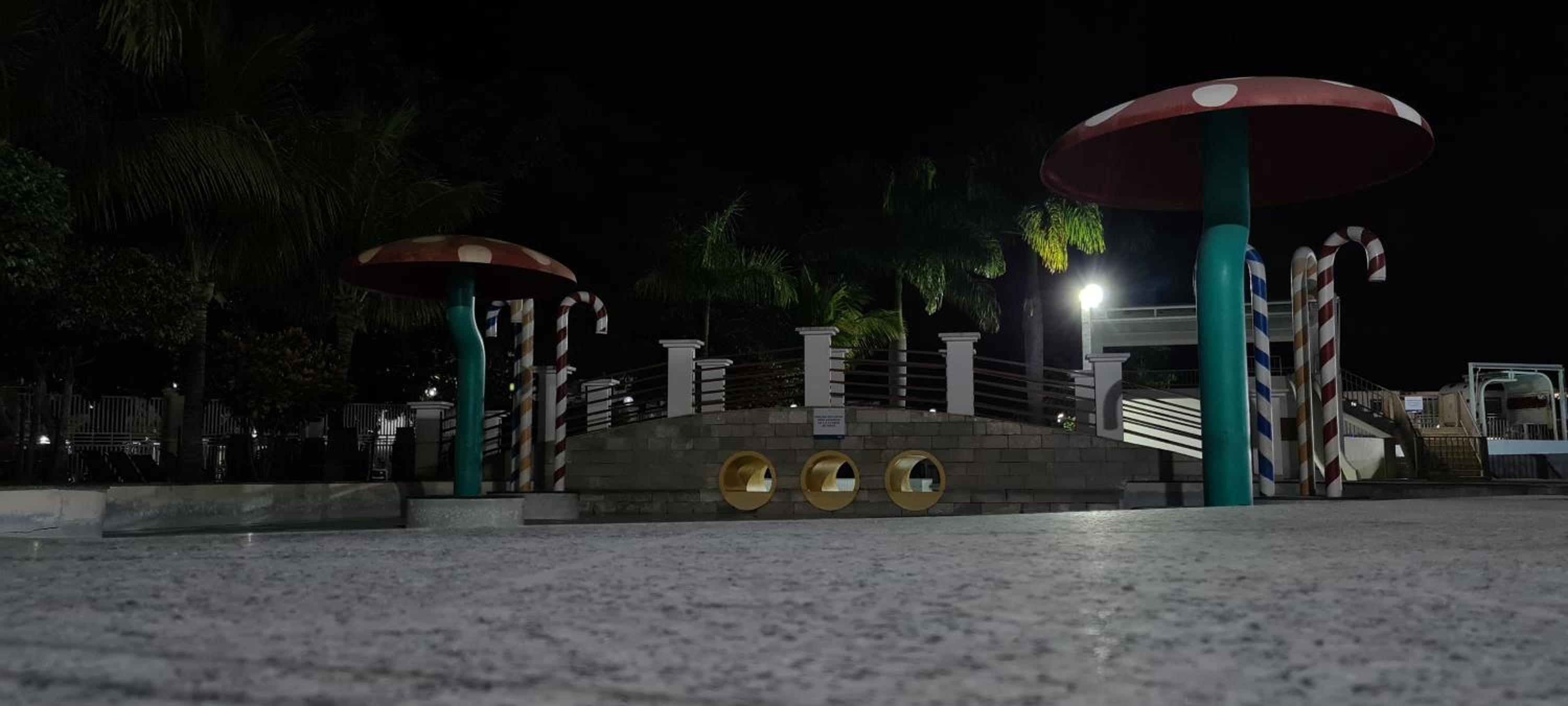 Photo 44