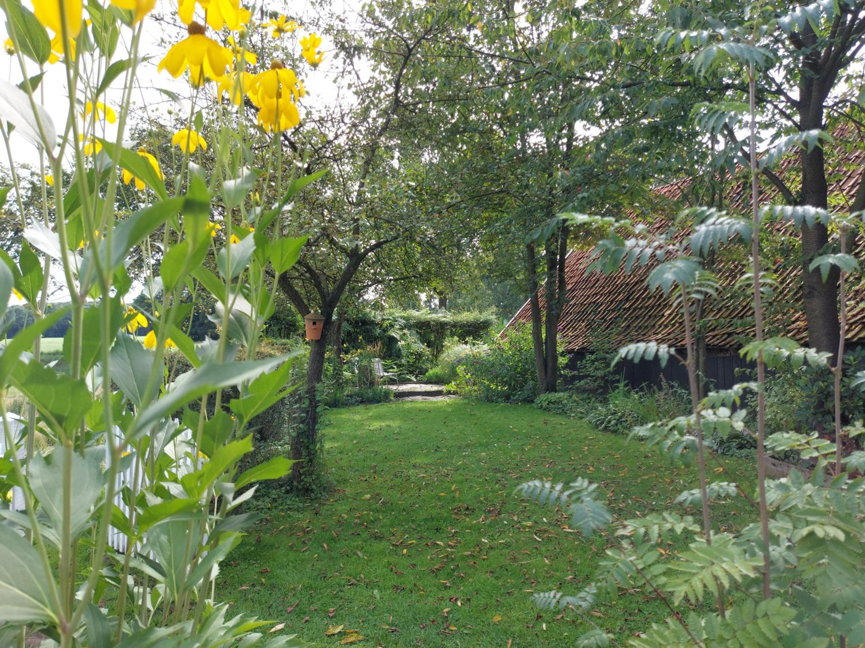 Photo 21