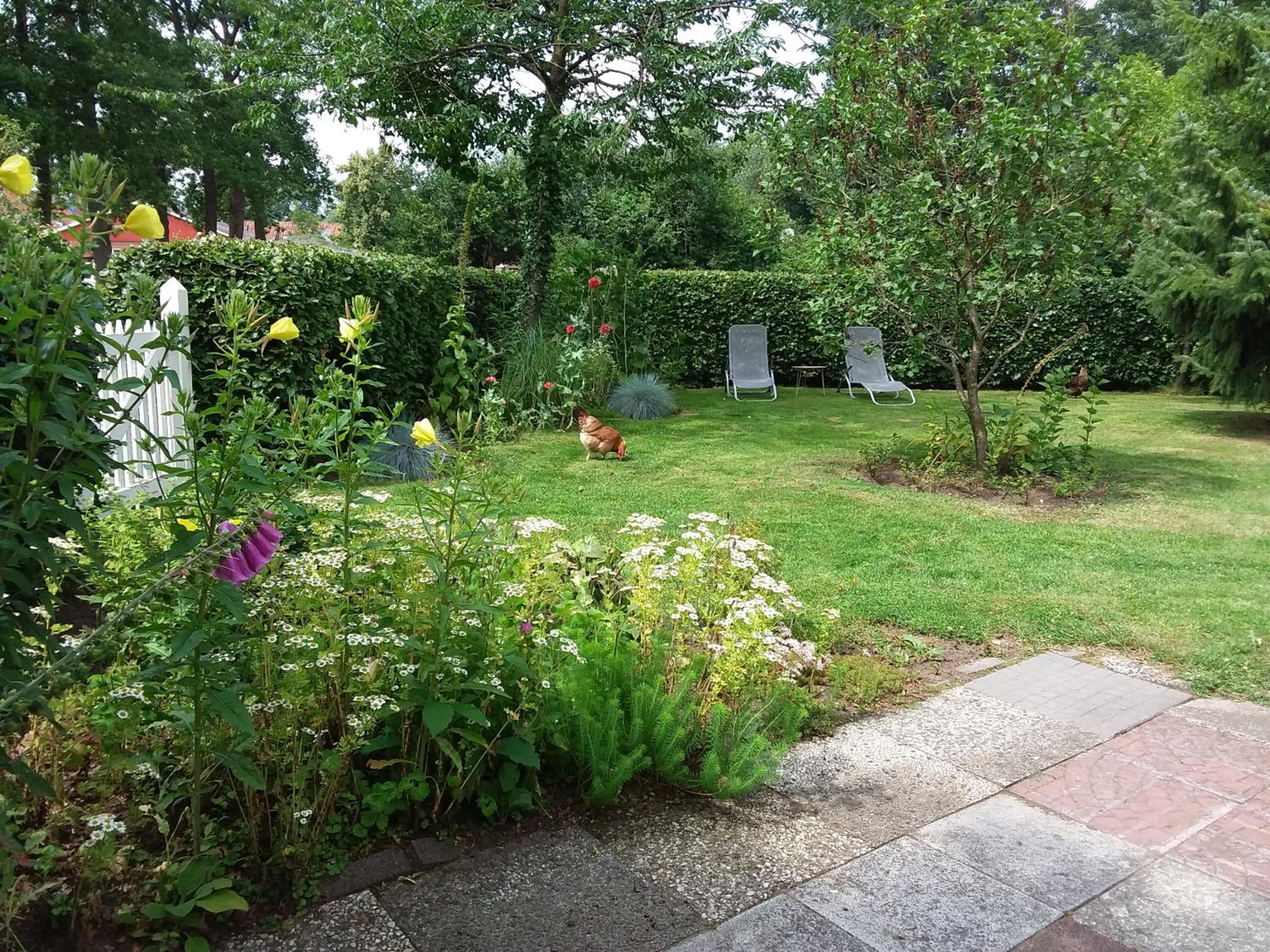 Photo 8