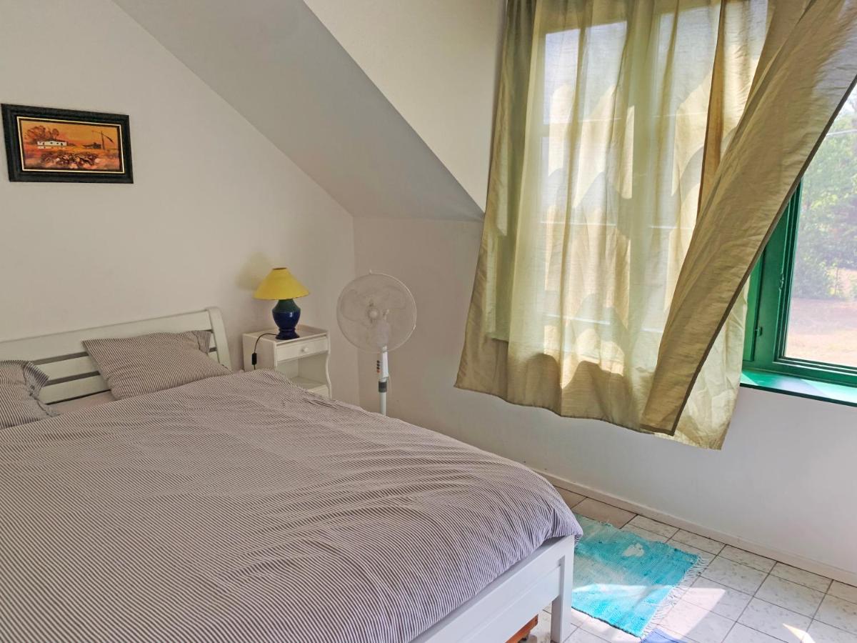 Zsuzsa Apartmanház view 5