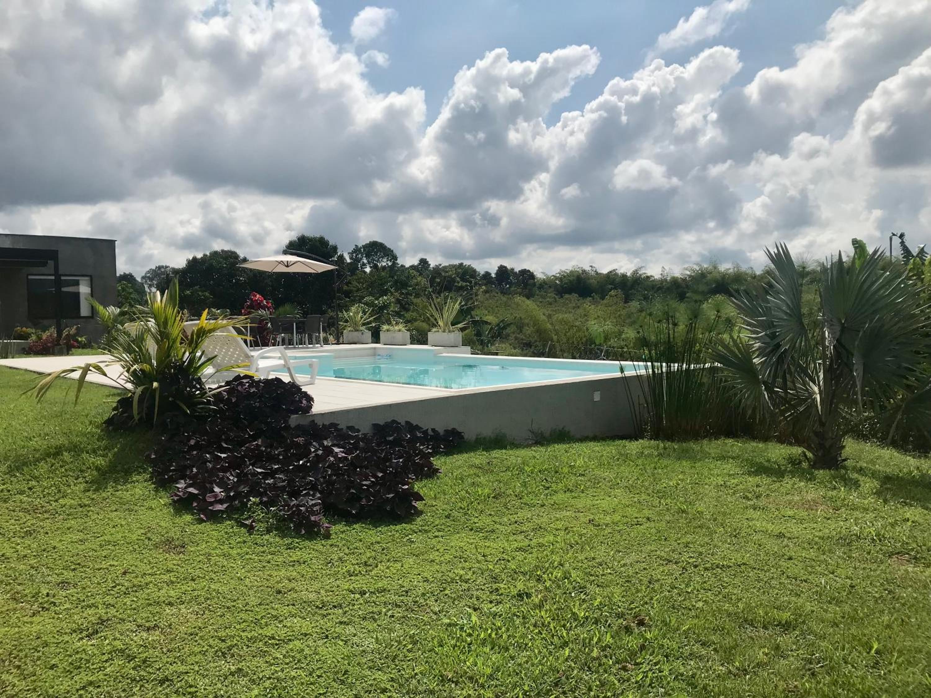 Torcaza Casa de Campo
