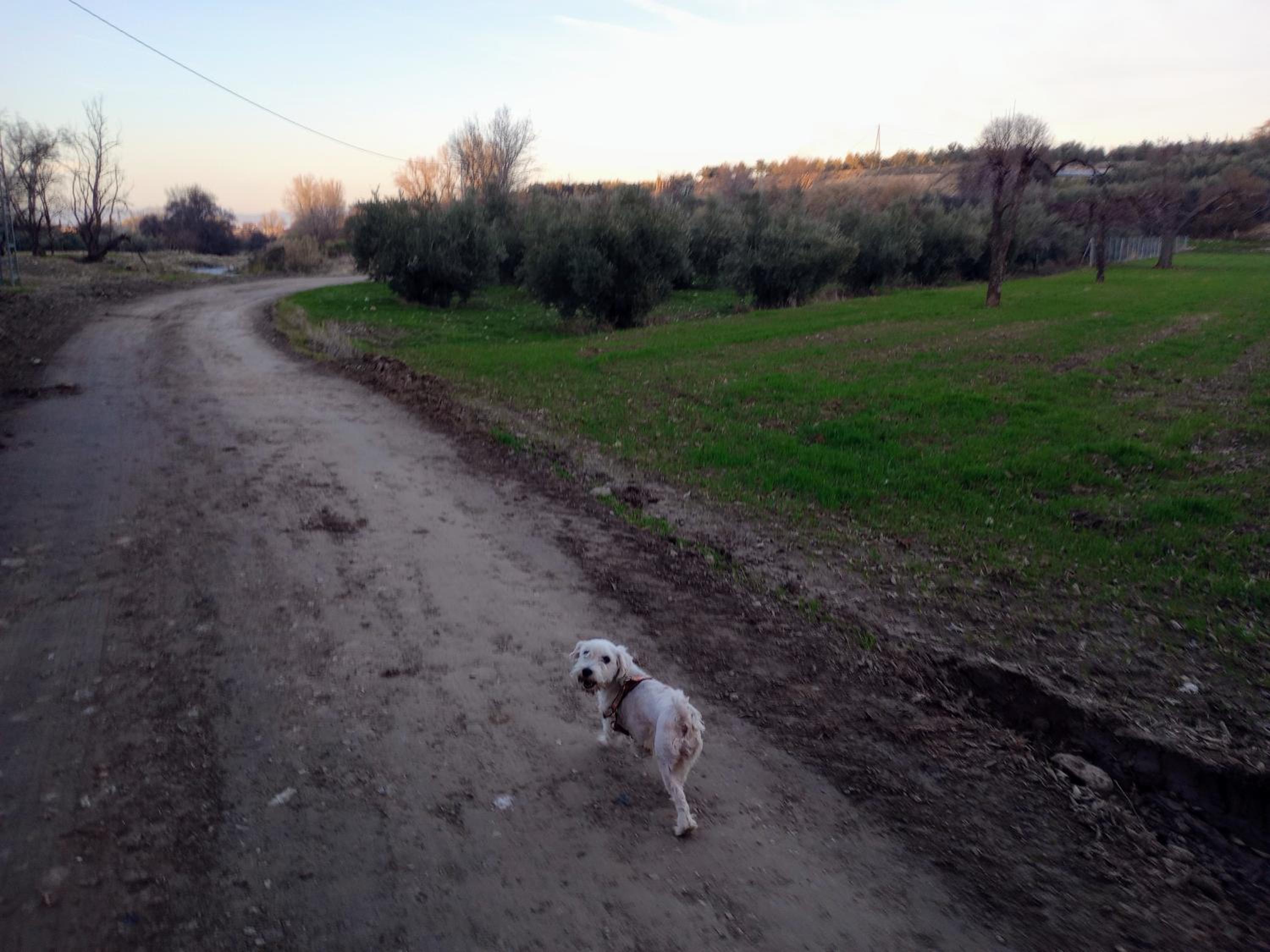 Casa de Campo Los Manueles Ideal Perros Pet Friendly