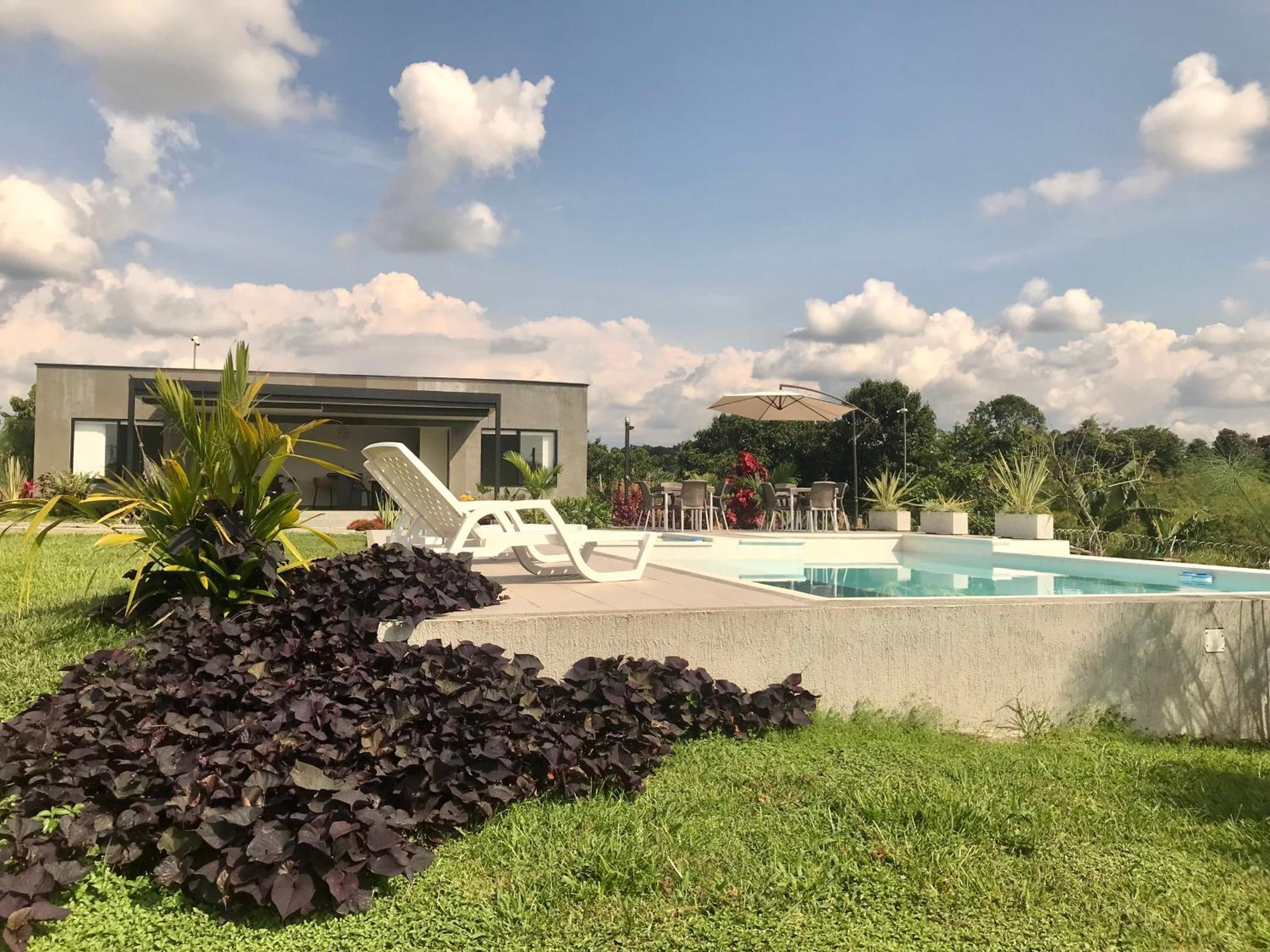 Torcaza Casa de Campo