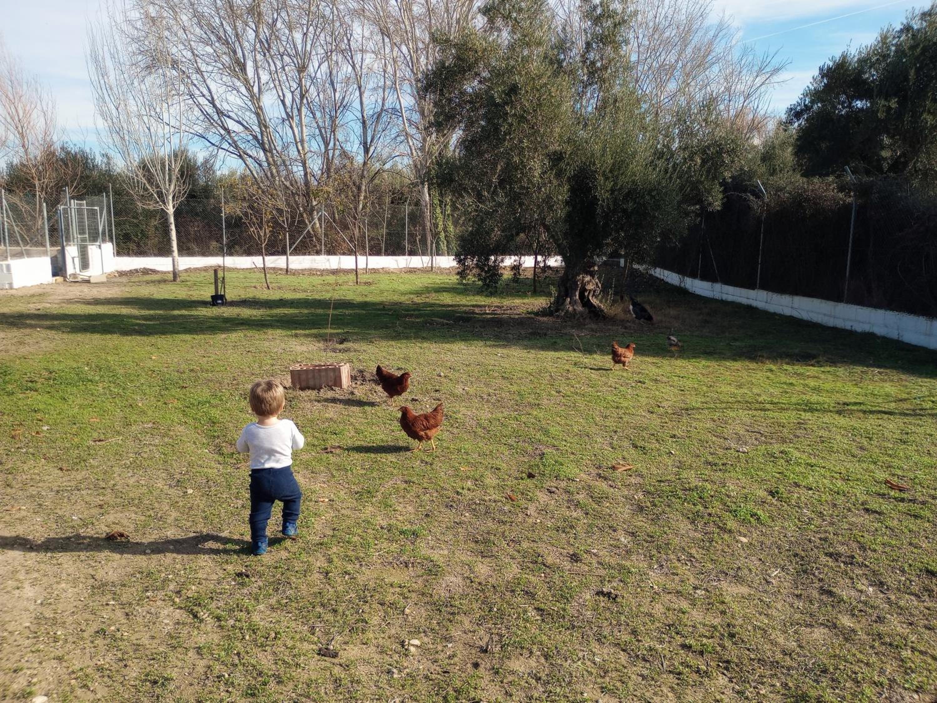 Casa de Campo Los Manueles Ideal Perros Pet Friendly