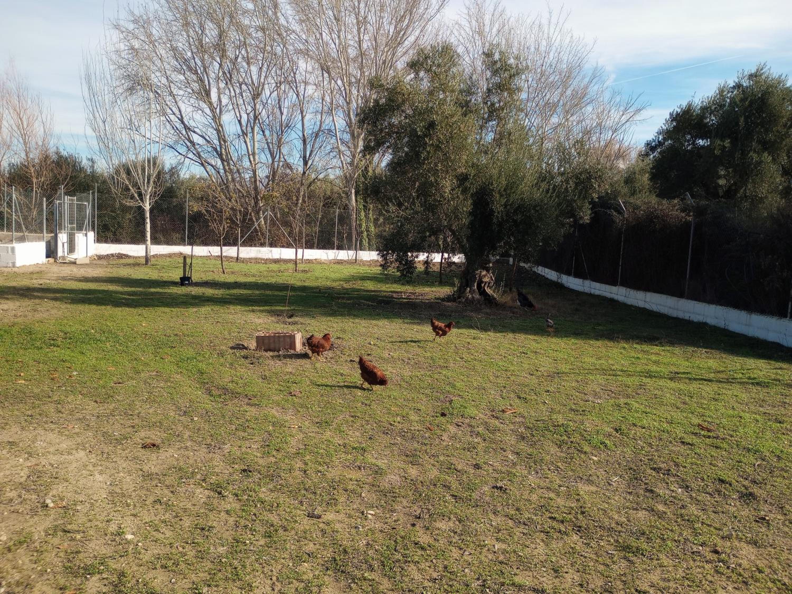 Casa de Campo Los Manueles Ideal Perros Pet Friendly