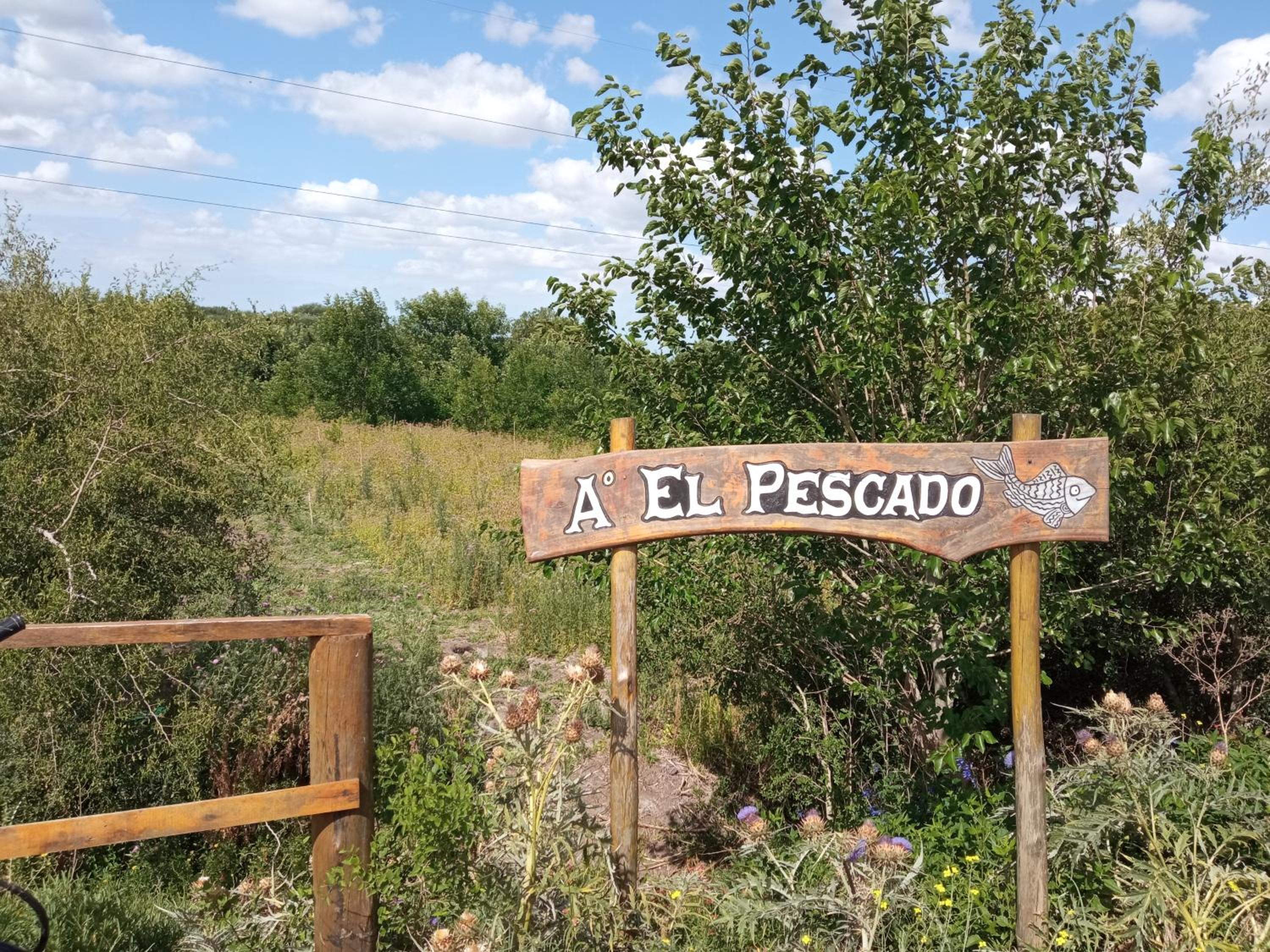 Espacio LORENZO