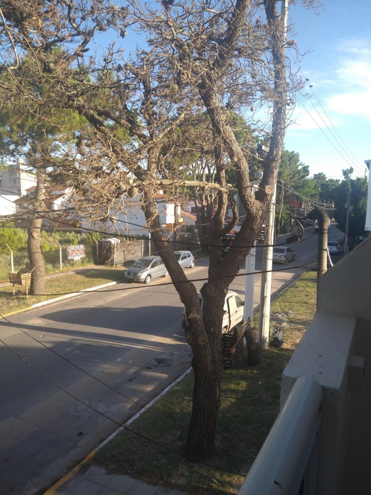 Altos SB Complejo Duplex 3
