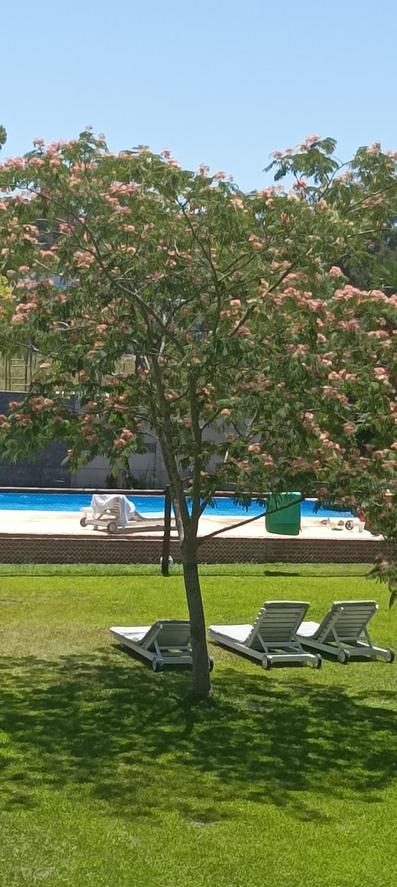 Cabañas Tranquera 8