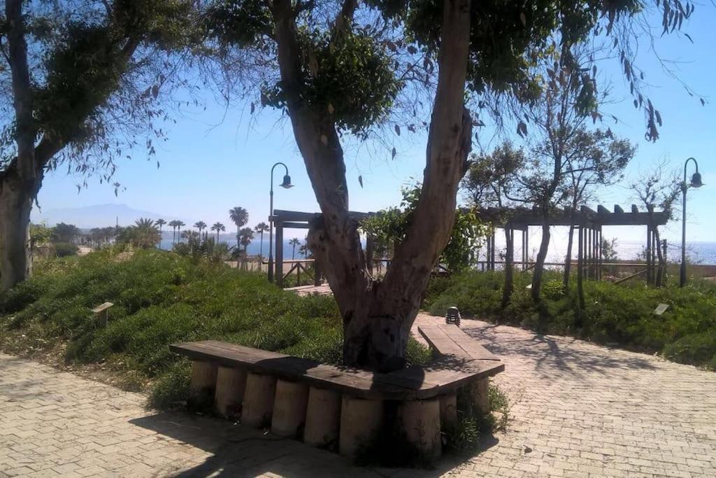 Photo 22