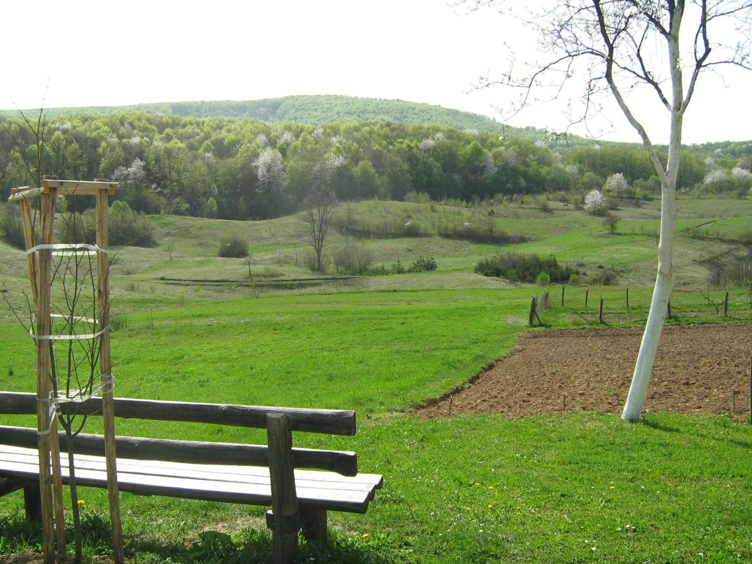 Photo 32