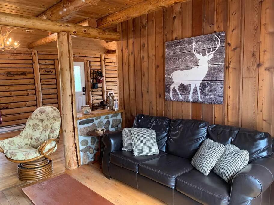 Cozy log cottage
