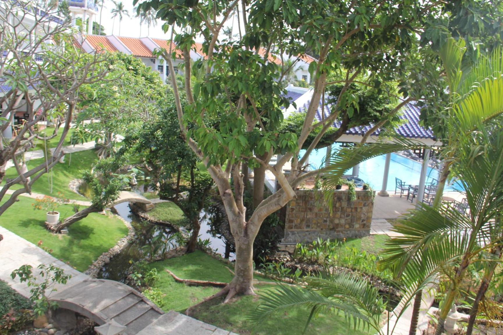 Photo 21